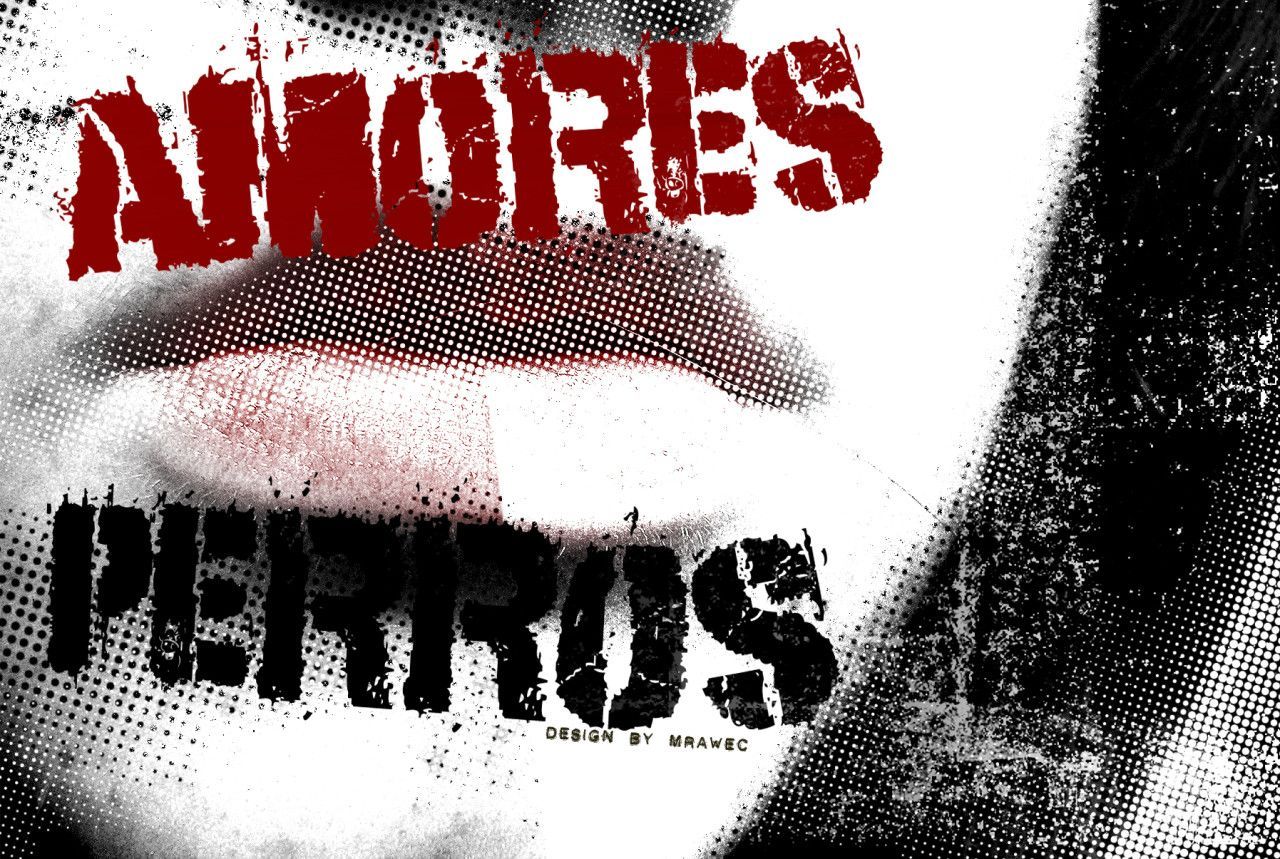 1280x859 Amores Perros > Stažení 1280x960