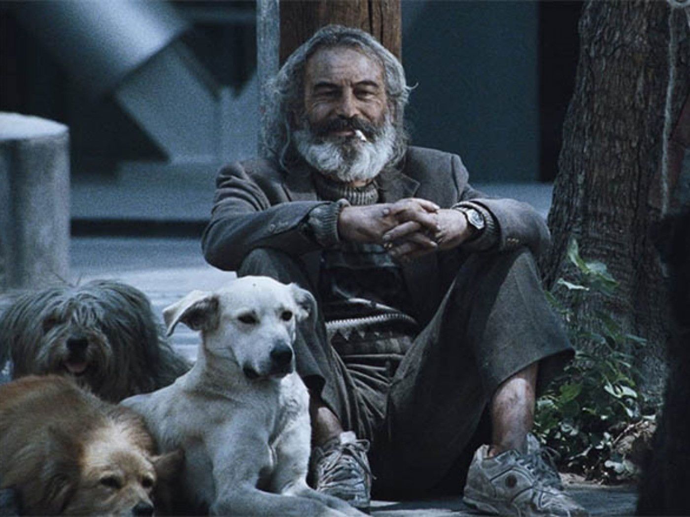 1400x1050 joya del cine