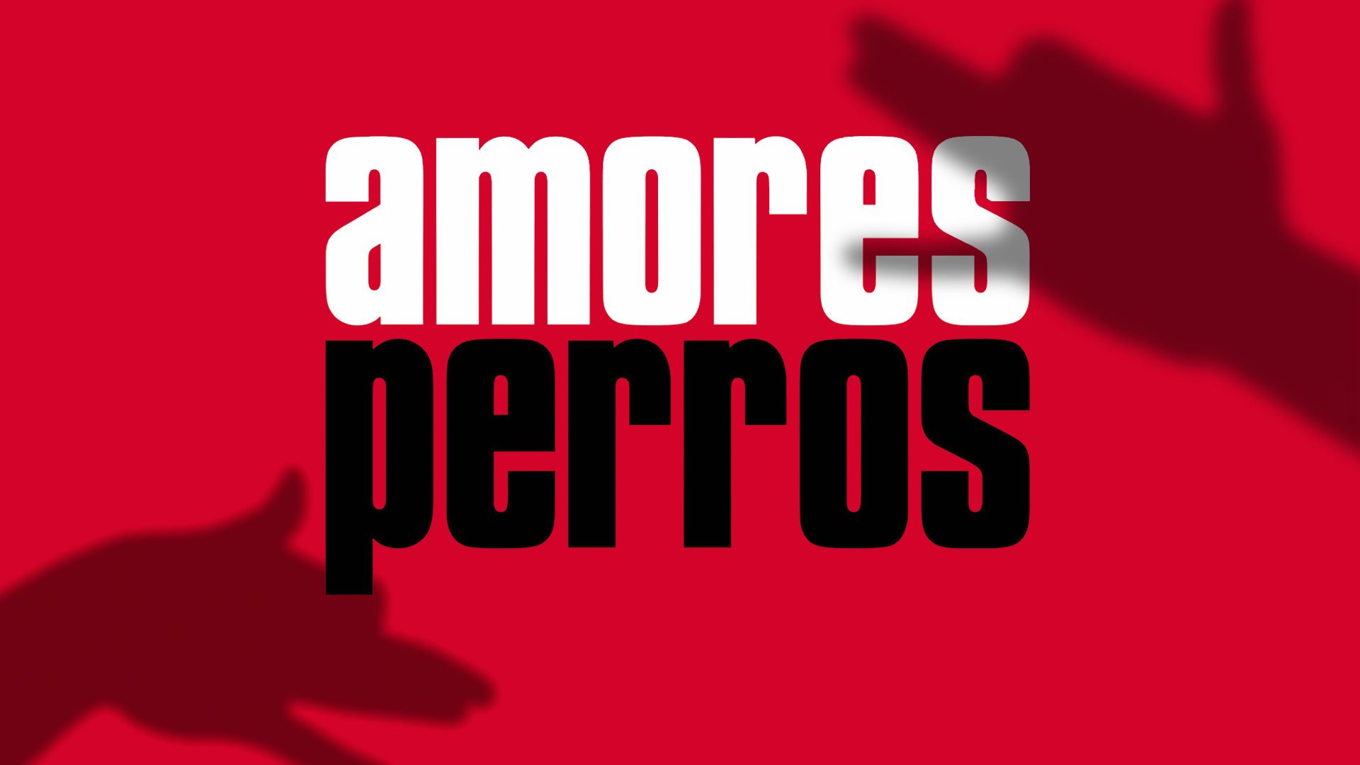 1920x1080 Prime Video: Amores Perros