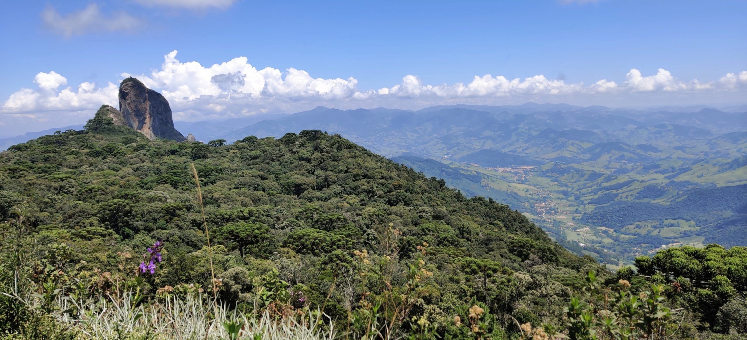 2560x1167 Brazil. Visions
