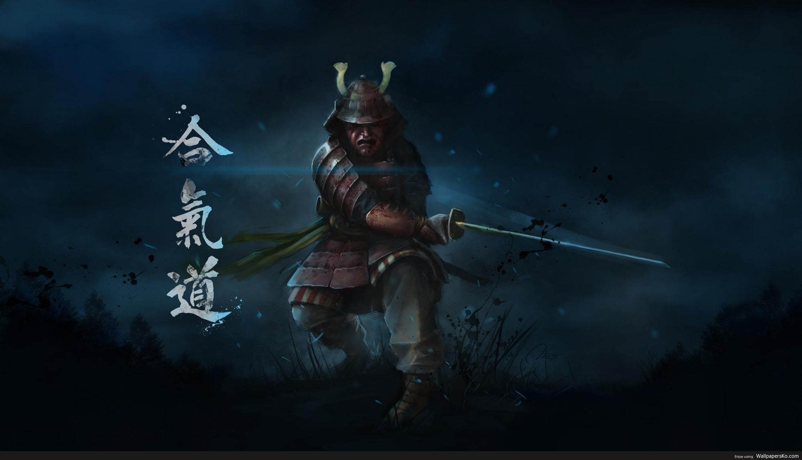 2560x1468 Samurai Warrior Wallpaper : HD