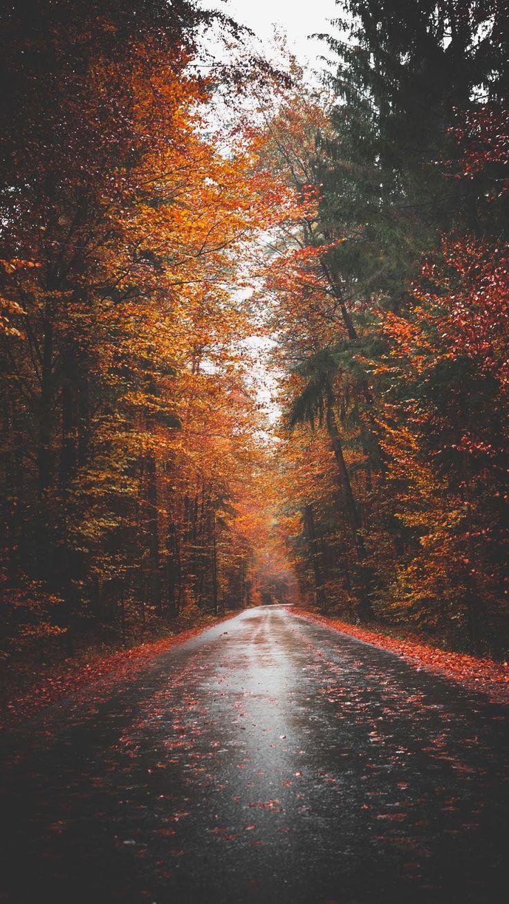 Aesthetic Road Wallpapers - Top Free Aesthetic Road Backgrounds ...