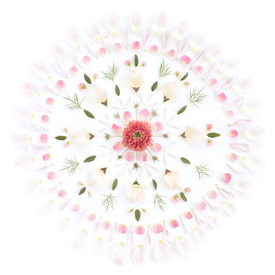 Flower Mandala Wallpapers - Top Free Flower Mandala Backgrounds