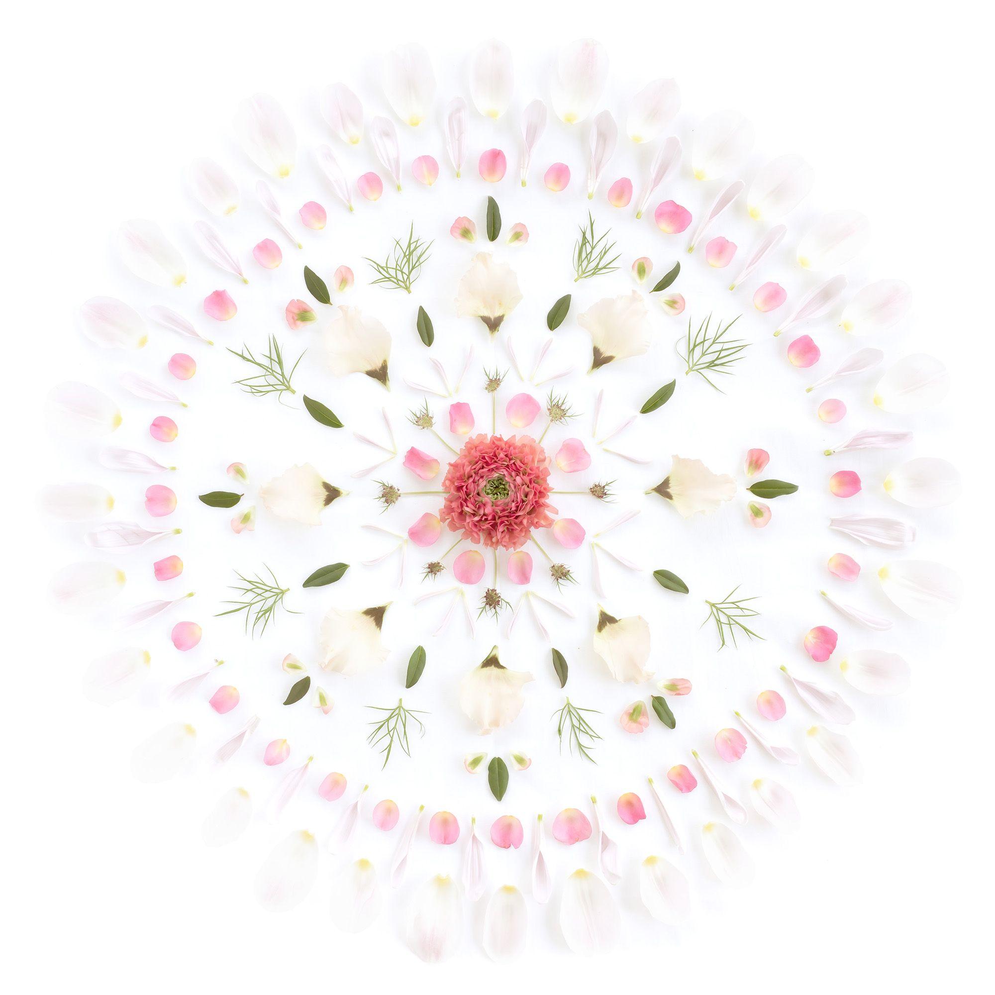 2000x2000 Flower Mandala wallpaper