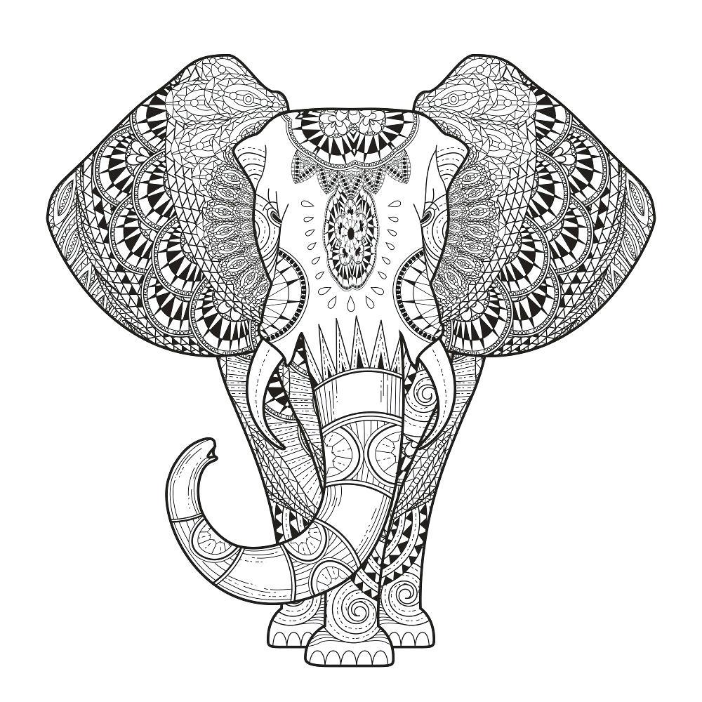 1000x1000 very detailed animal coloring pages