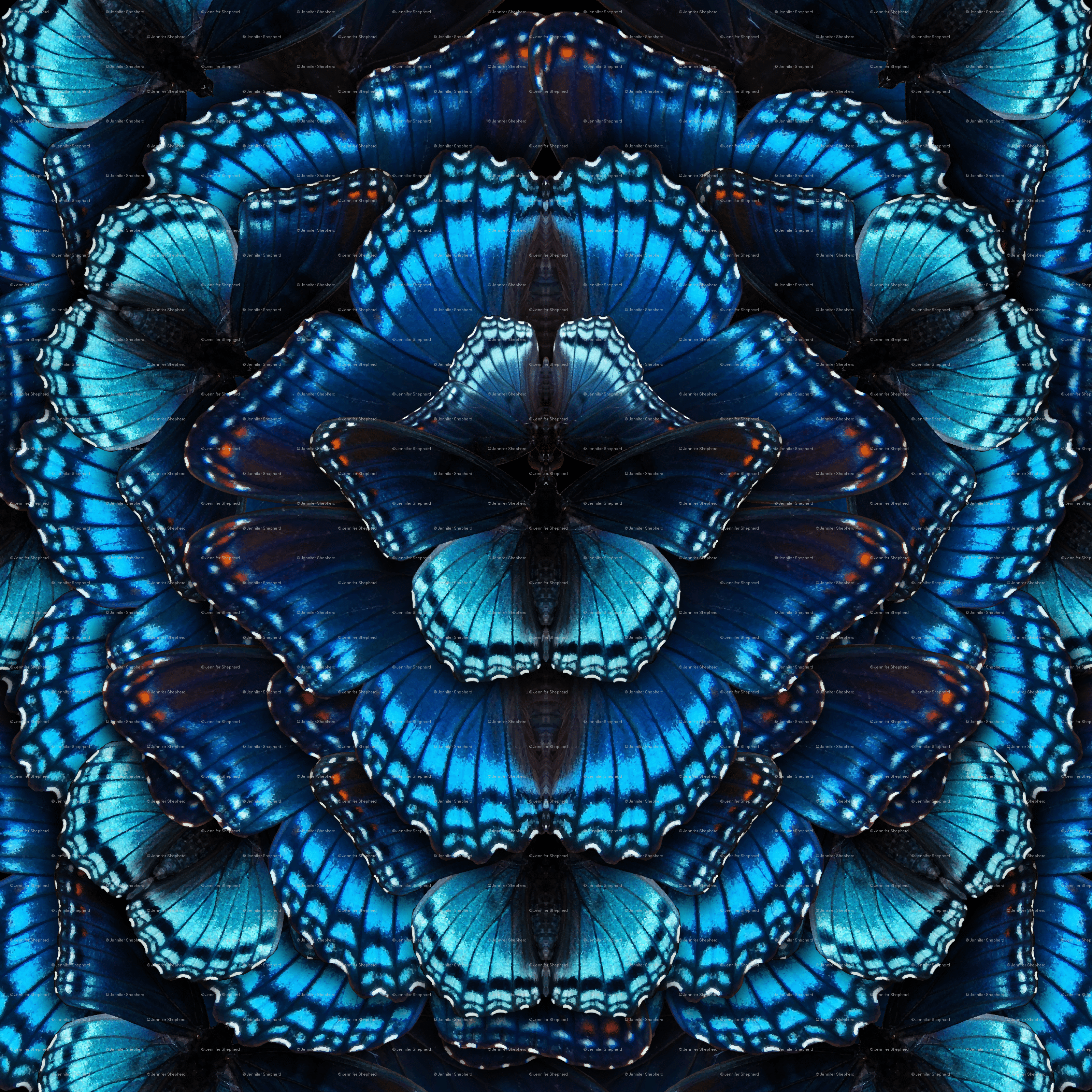 3200x3200 Blue Butterfly Mandala wallpaper