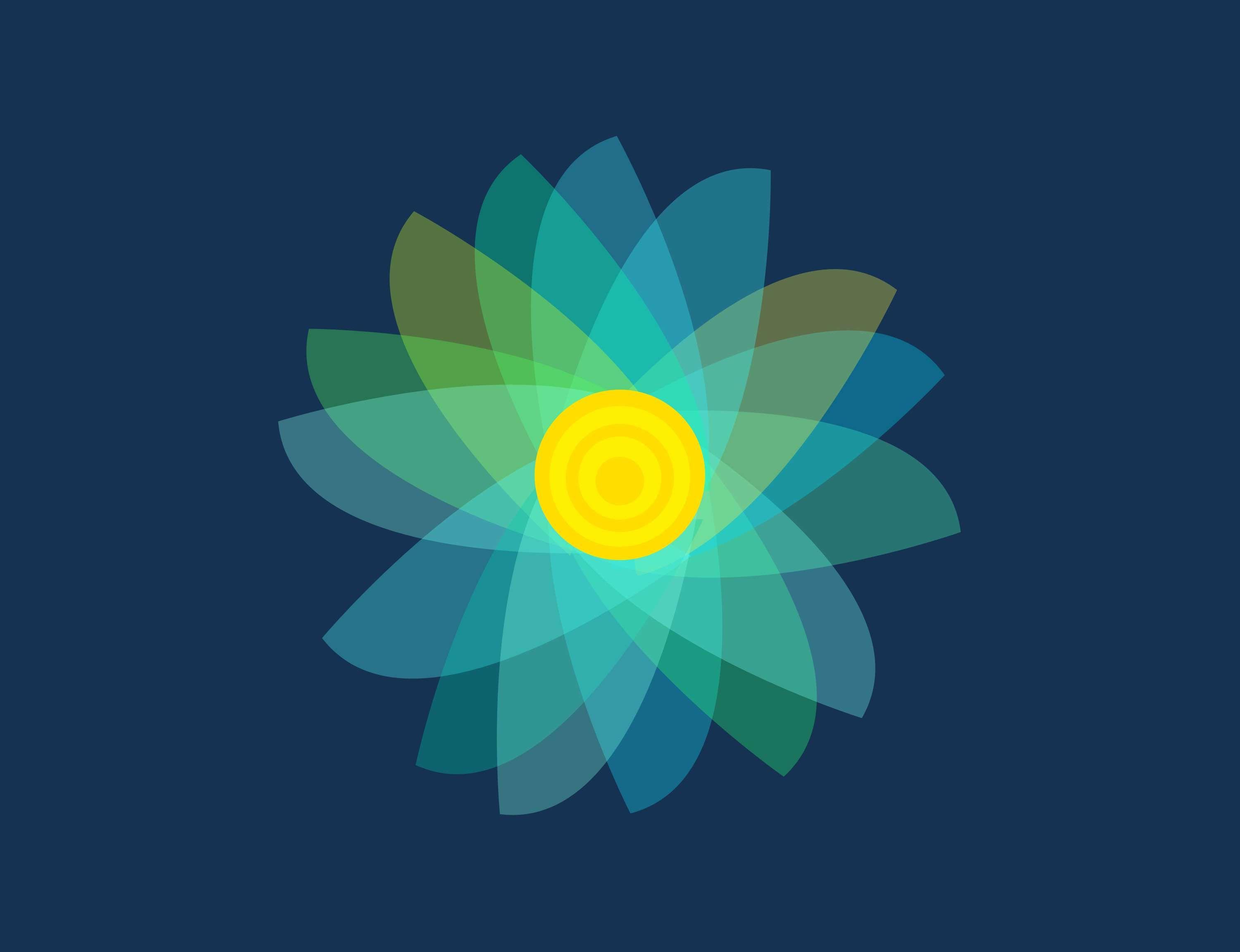 3000x2303 flower, mandala, nature vector wallpaper