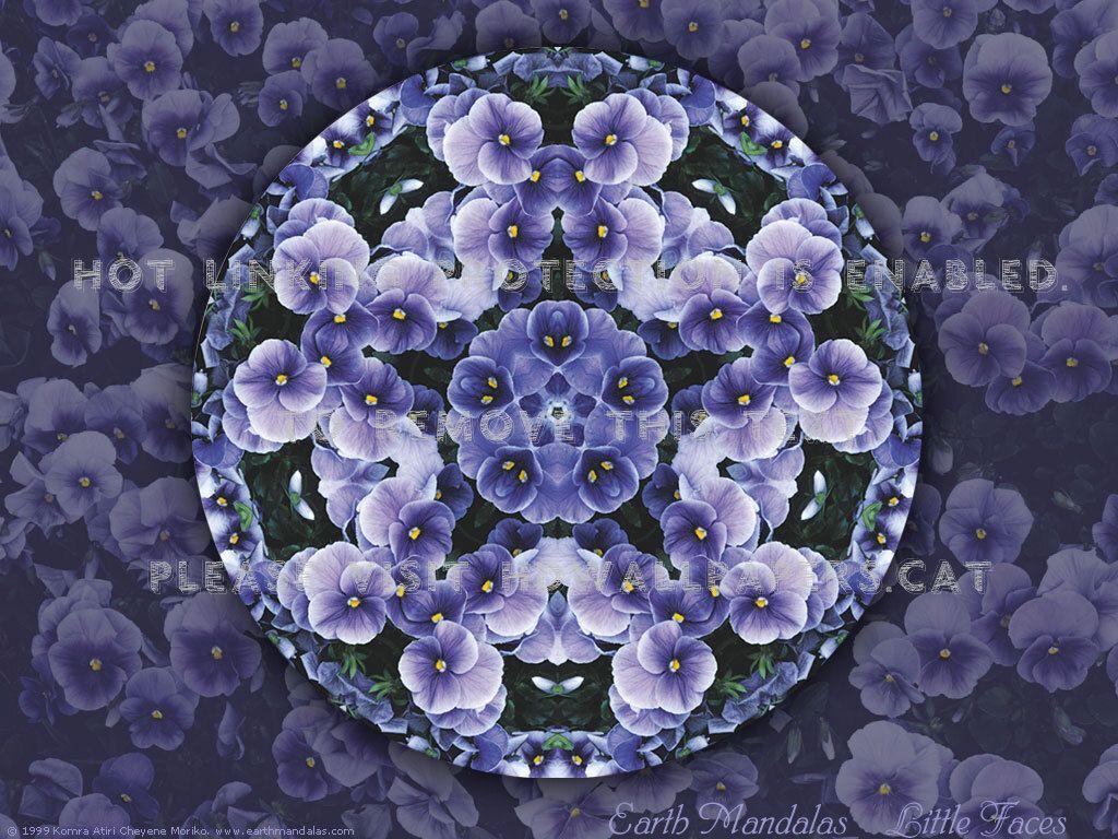 1024x768 mandala pansies purple abstract designs 3D