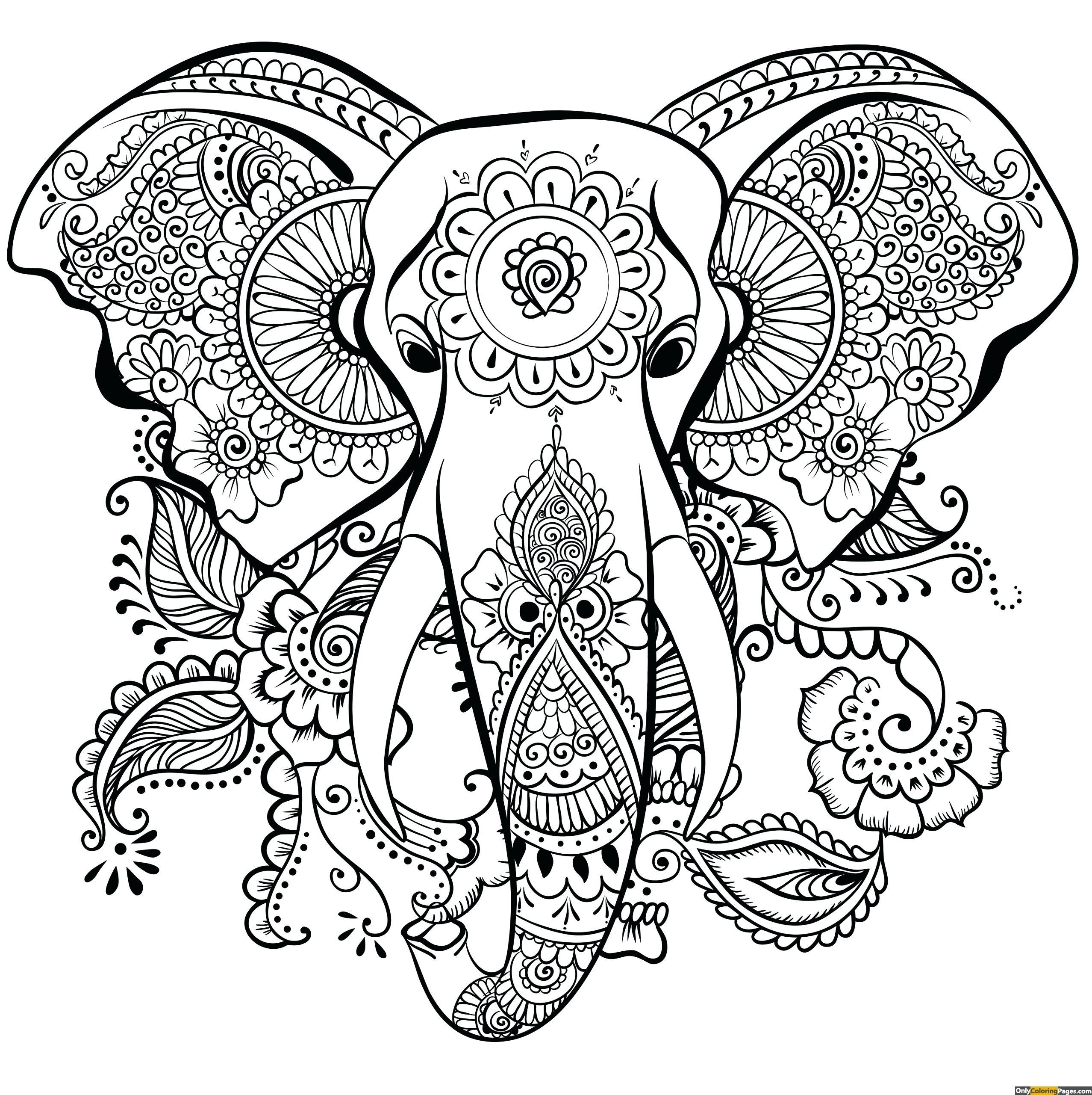 2555x2560 lion mandala coloring sheets