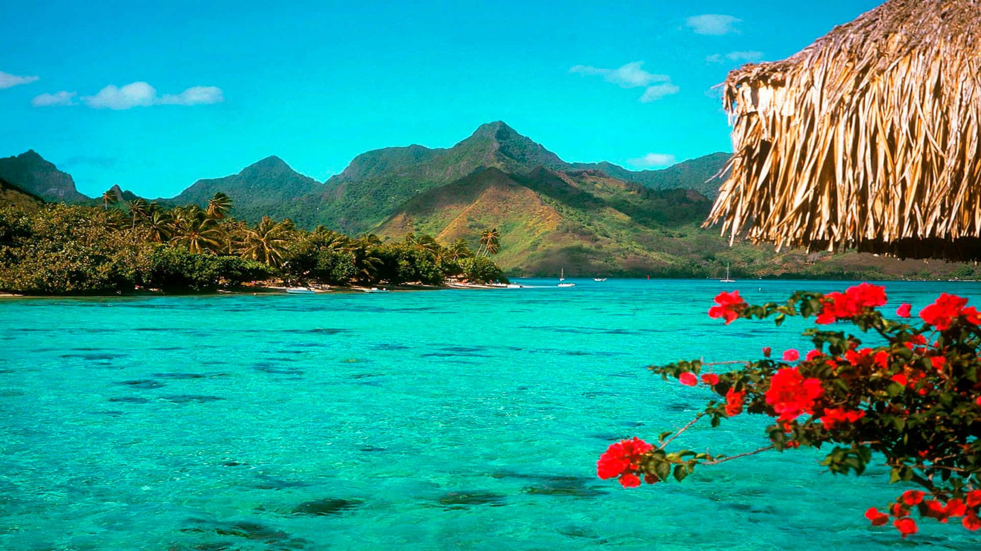 1920x1080 Download Feel the Calm and Serenity of a Tropical Island Wallpaper