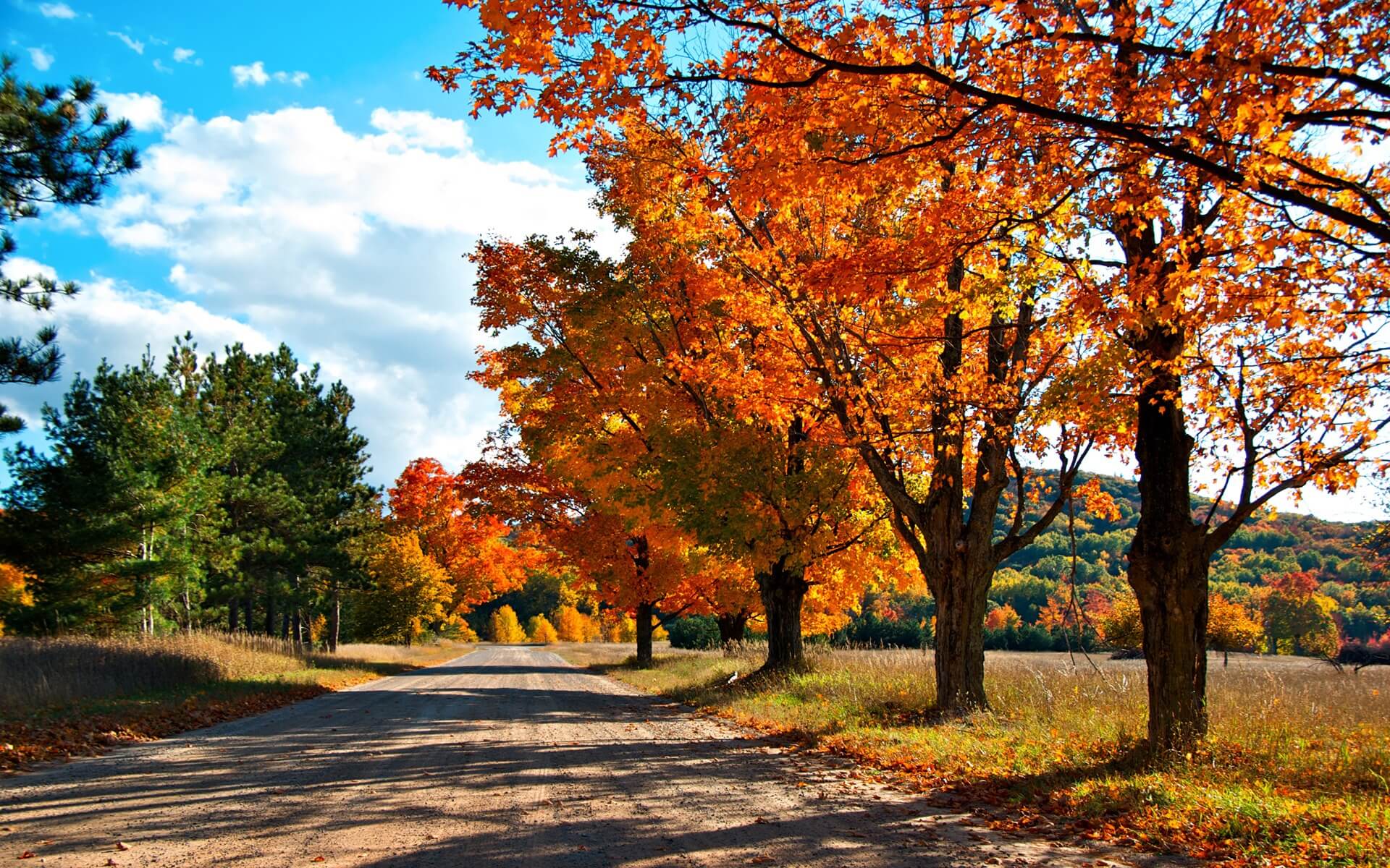 1920x1200 Autumn Wallpaper (8)