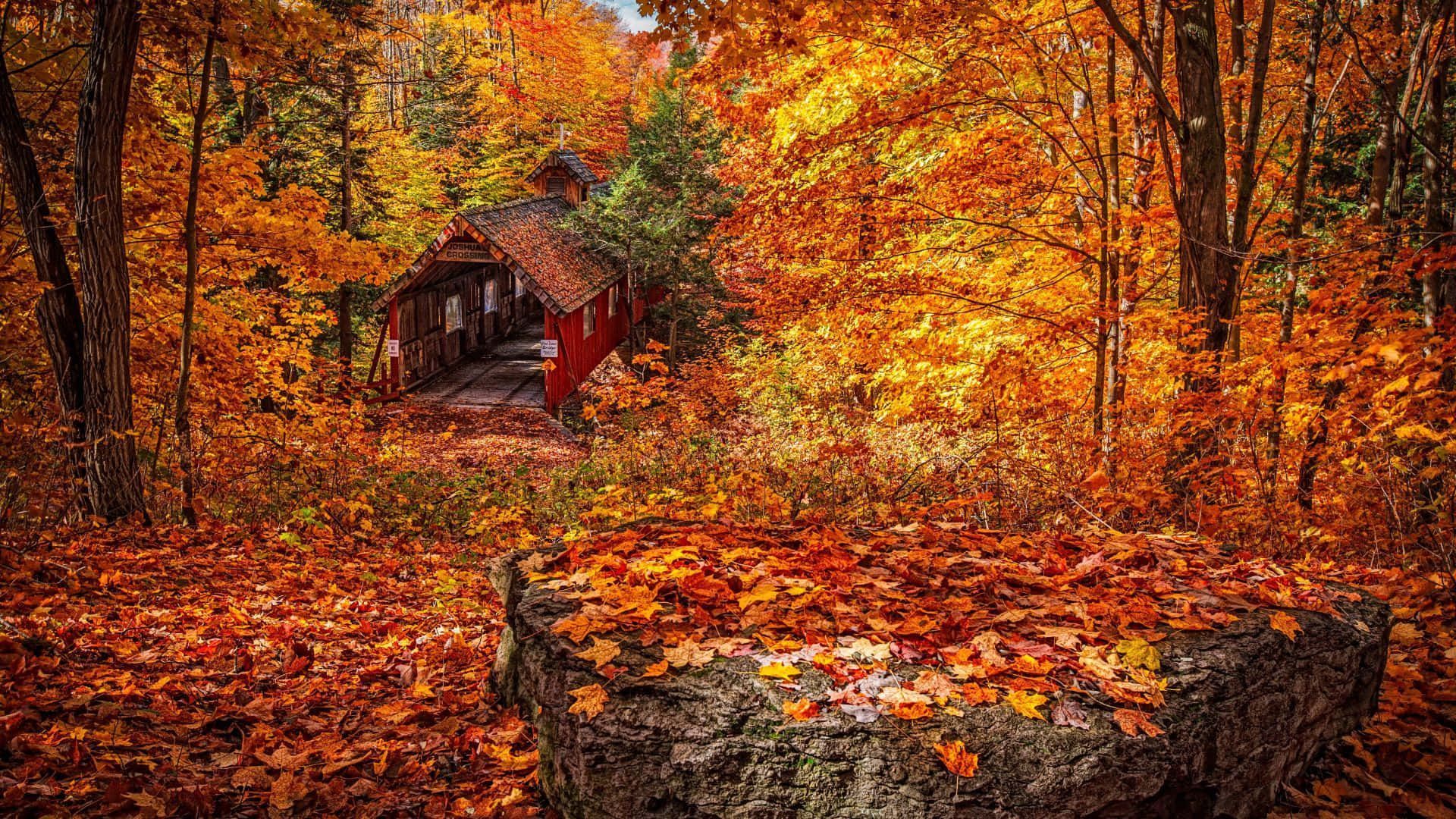 1920x1080 stunning 1920x1080 HD wallpaper