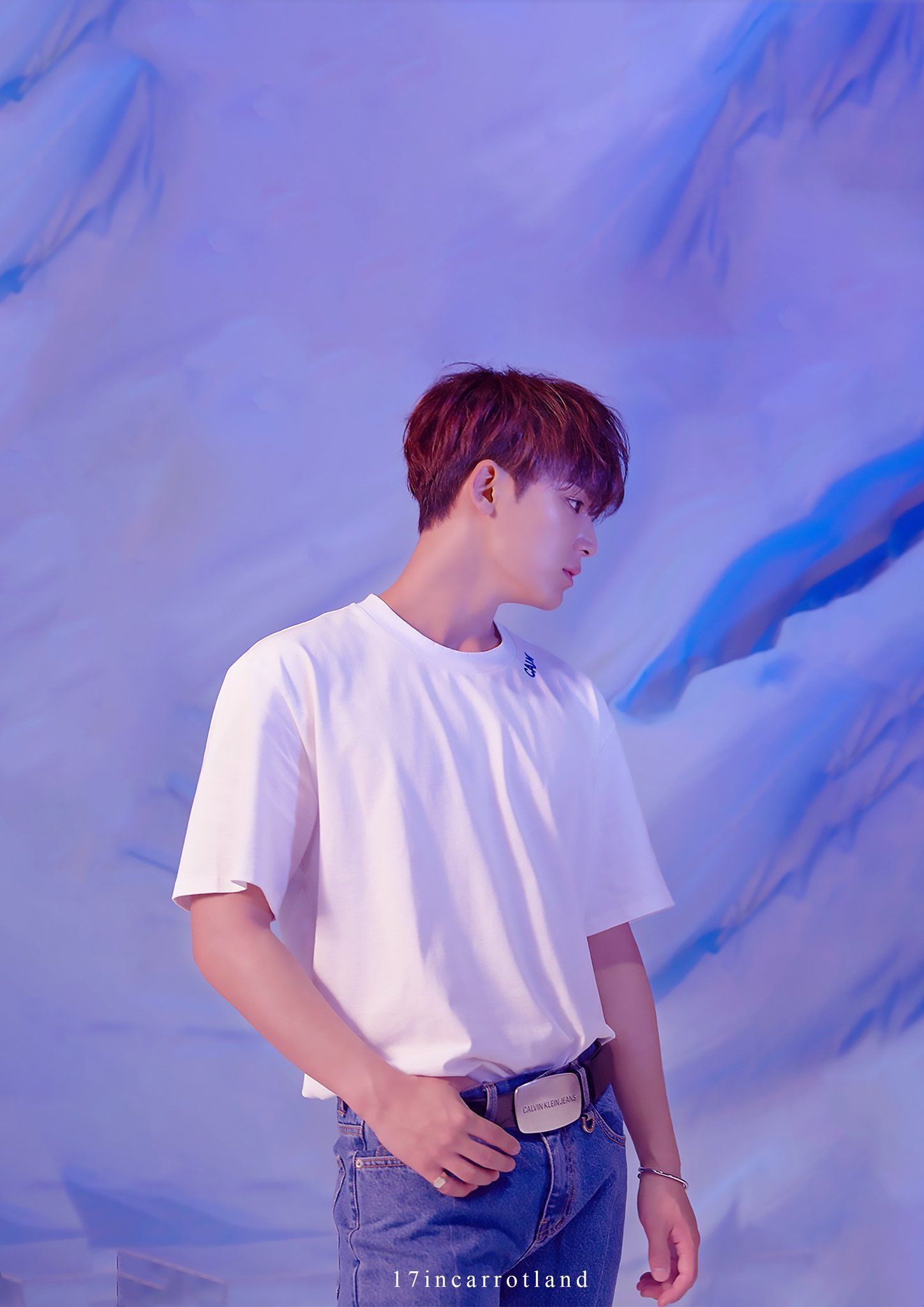 1448x2048 seventeen wallpaper