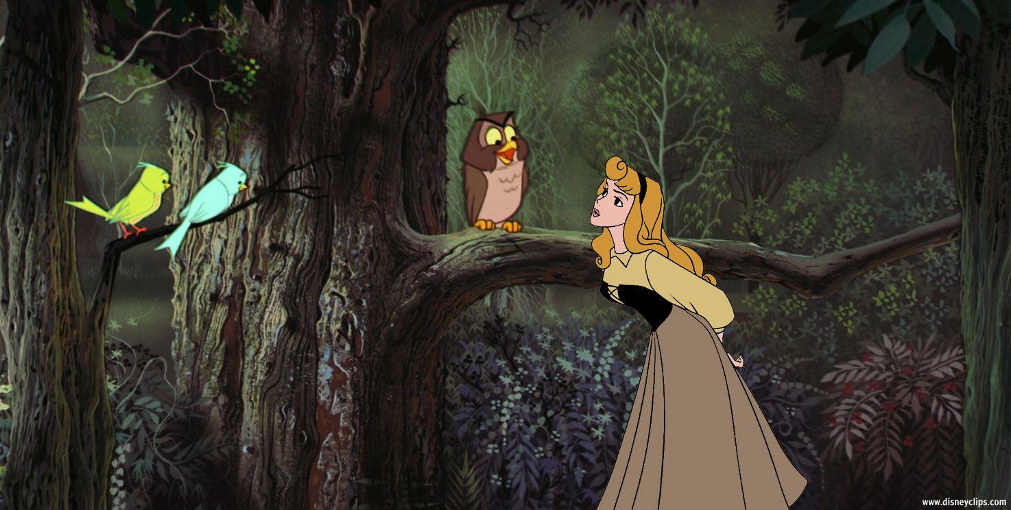 1474x744 Sleeping Beauty Wallpaper