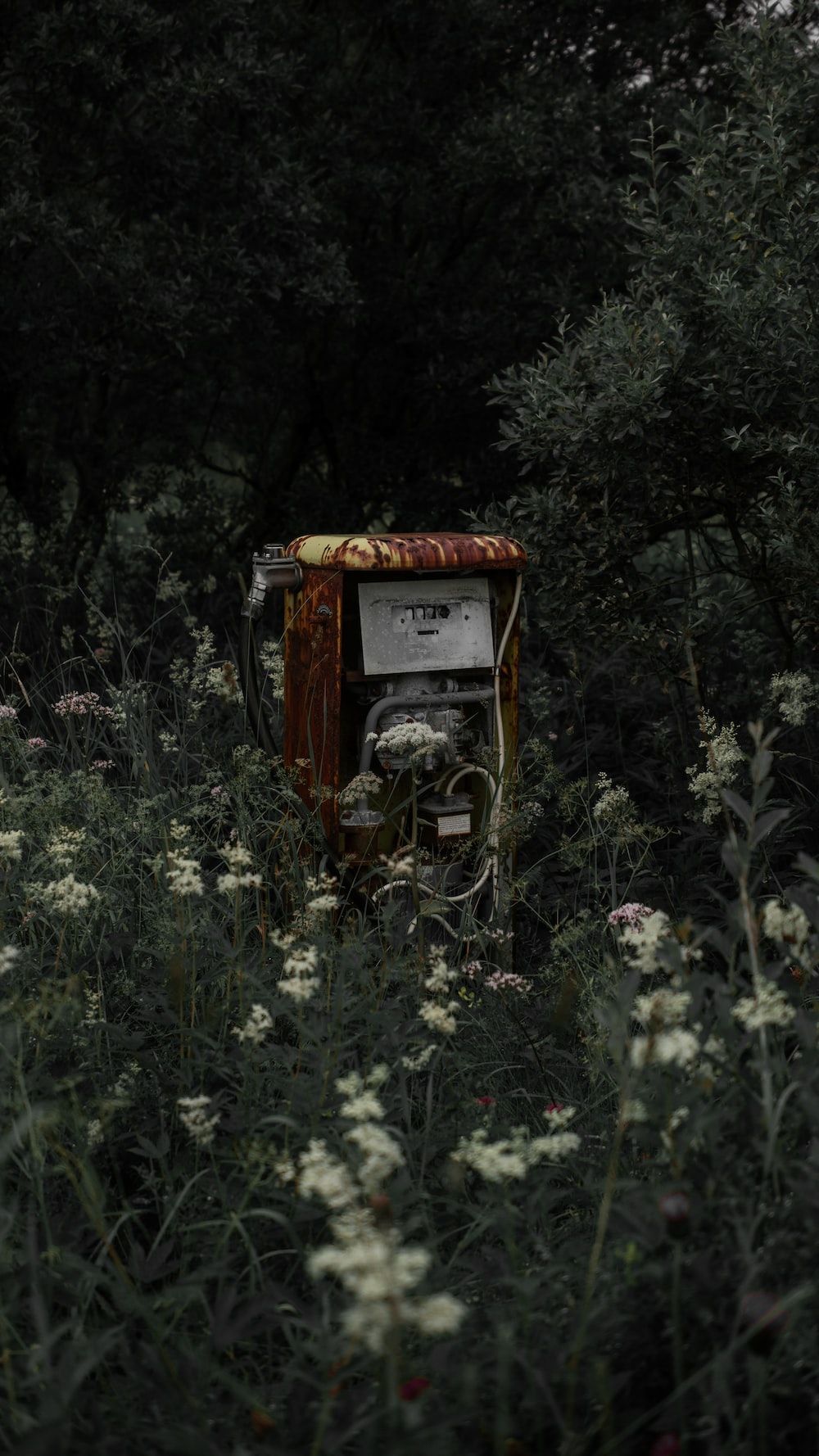 1000x1778 Southern Gothic Wallpaper