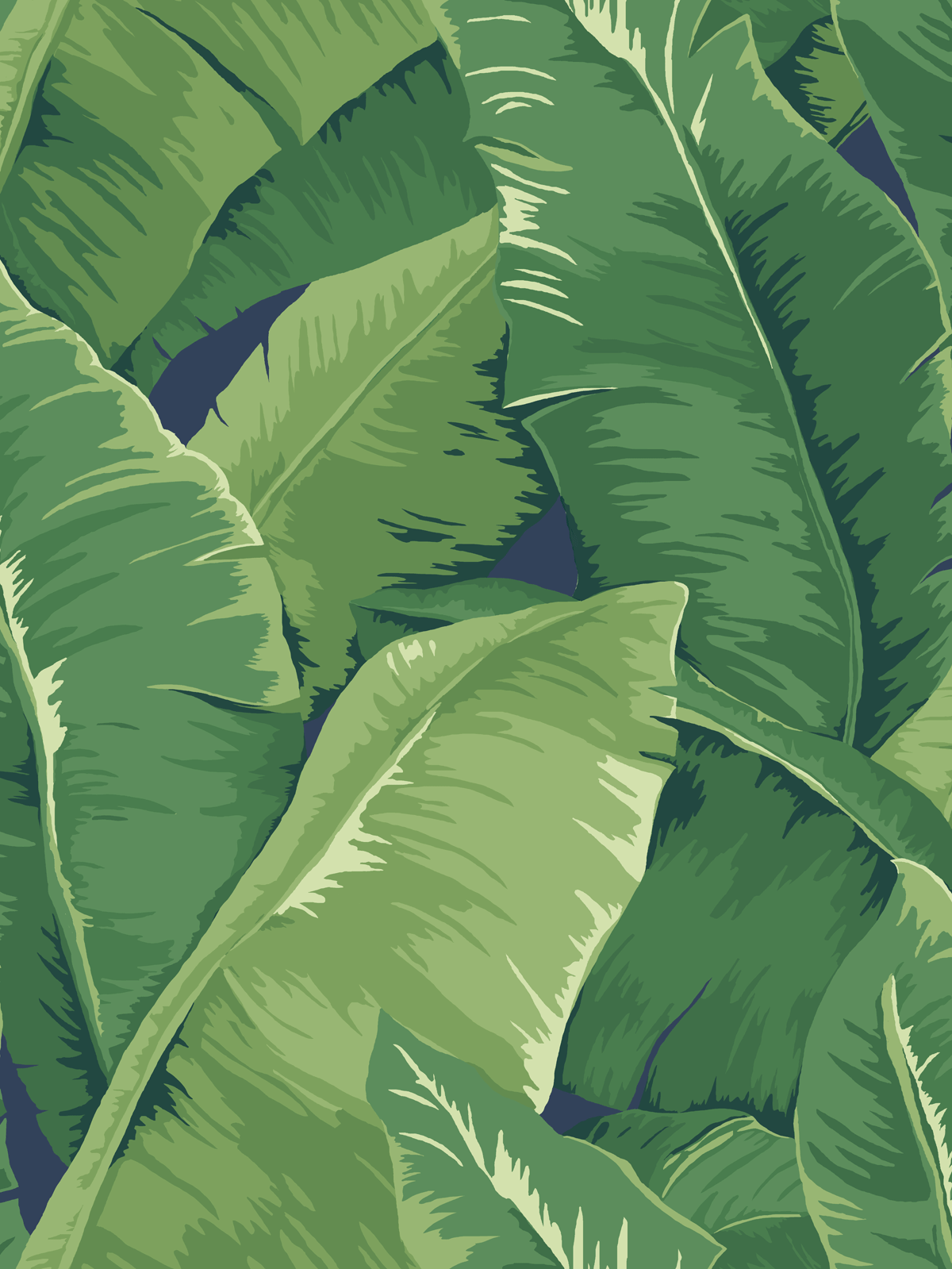 1200x1599 JB50712 Large Banana Leaves Charleston Home Wallpaper
