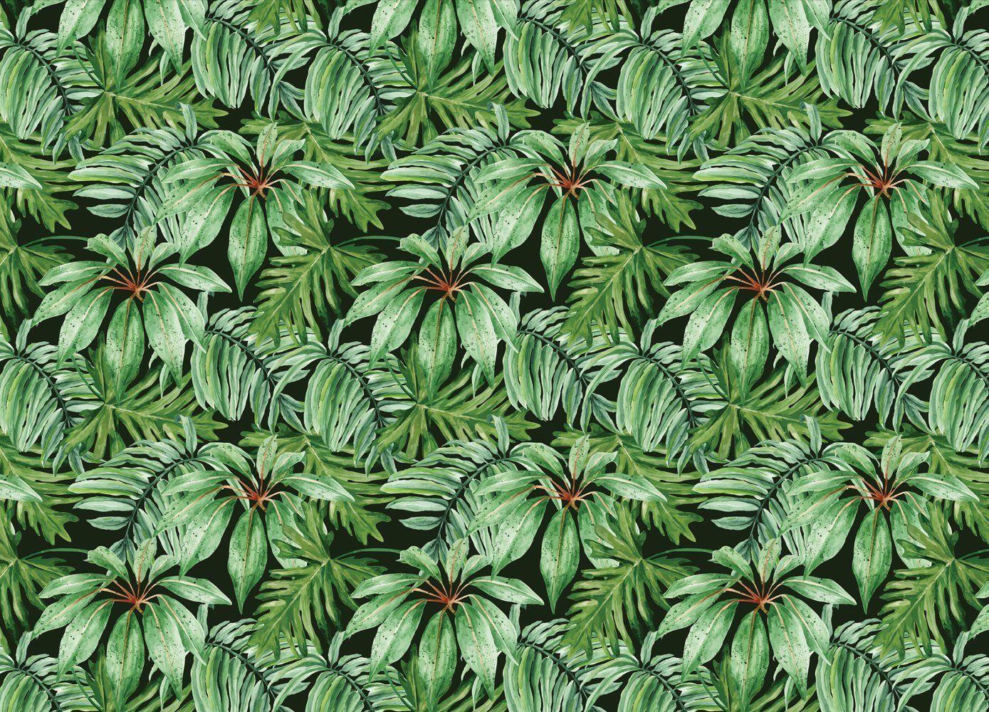 1389x1000 Tropical Banana Leaf Wallpaper. Anewall Mural Wallpaper
