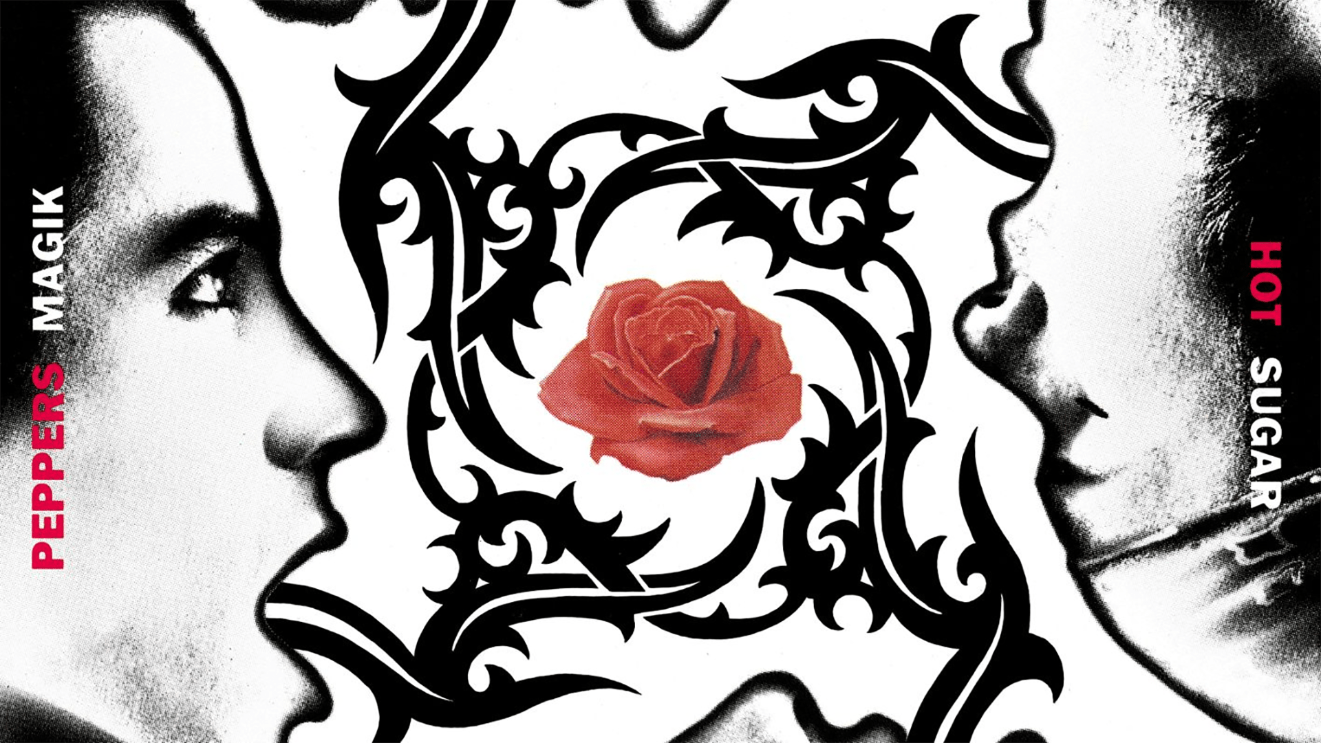 1920x1080 Red Hot Chili Peppers Hình nền & nền HD • 30919 • Wallur