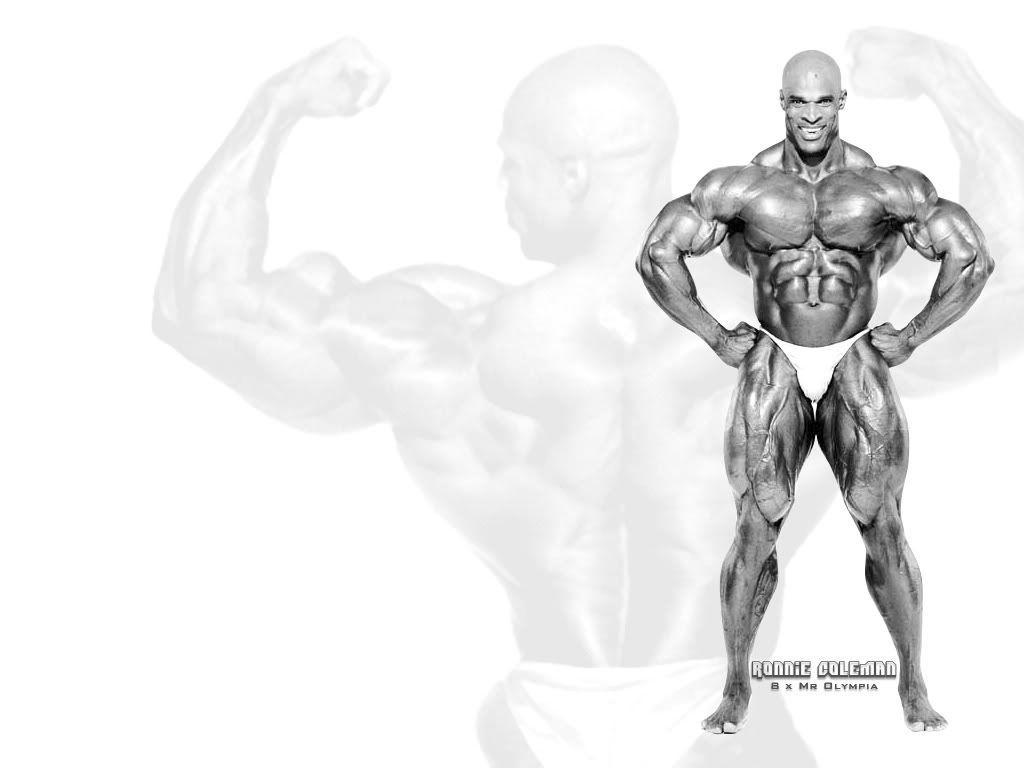 Ronnie Coleman photo 6 of 8 pics wallpaper  photo 122388  ThePlace2