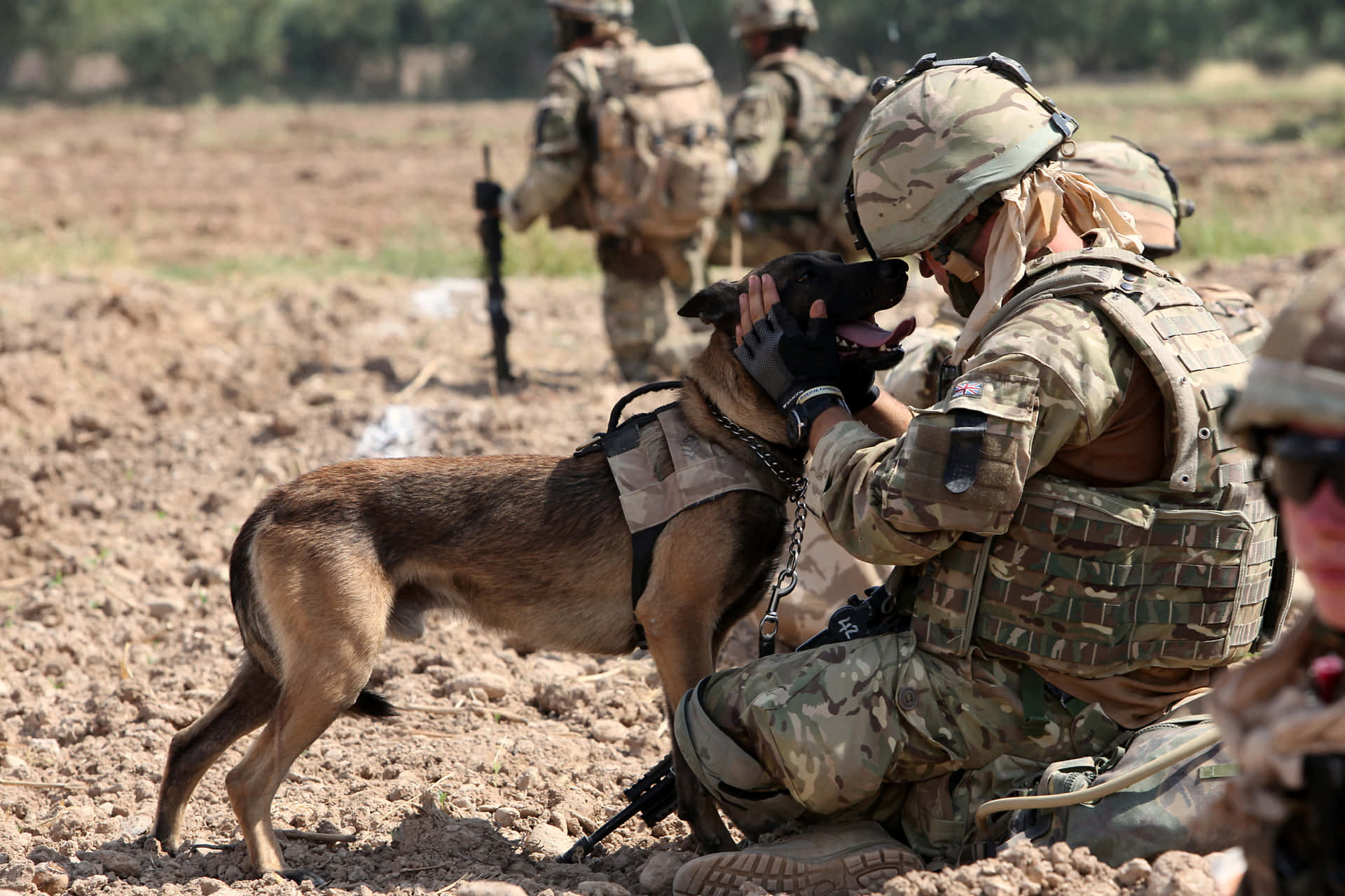 1920x1280 Military Dog Wallpaper