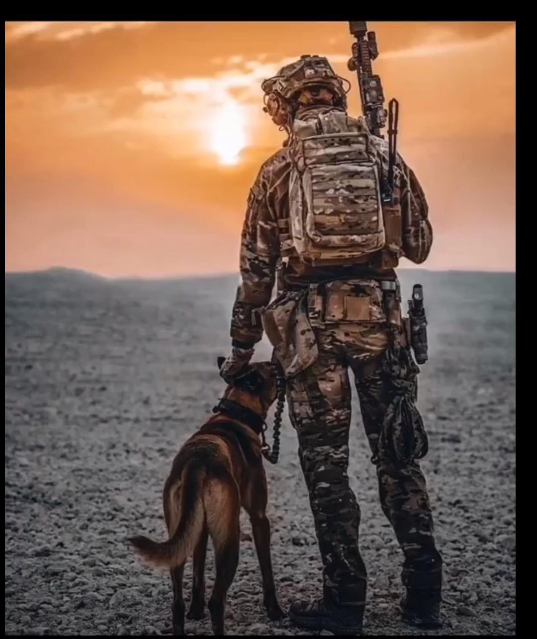 1080x1286 photos of a soldier and a military dog