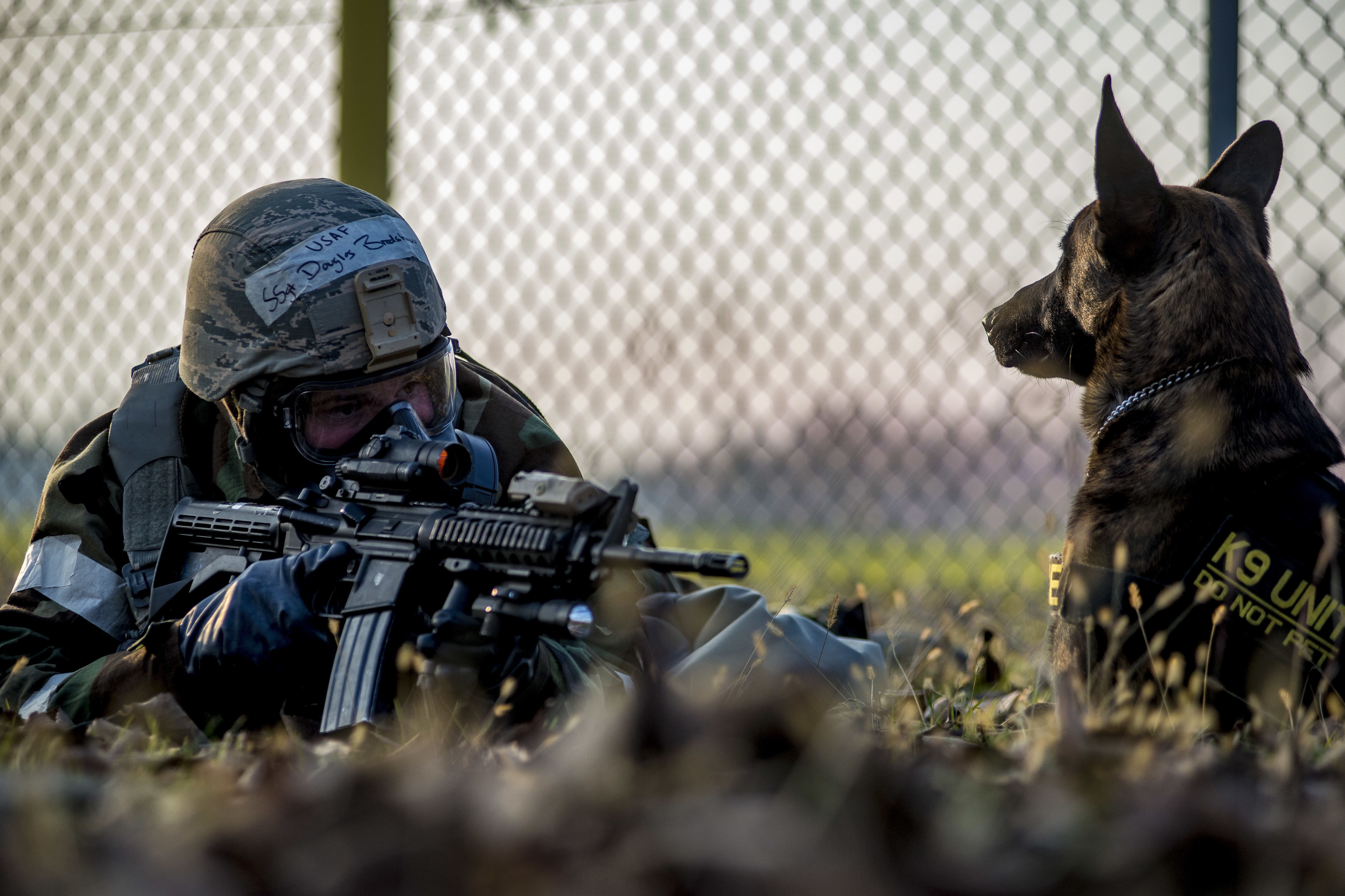 6016x4010 Post Guard
