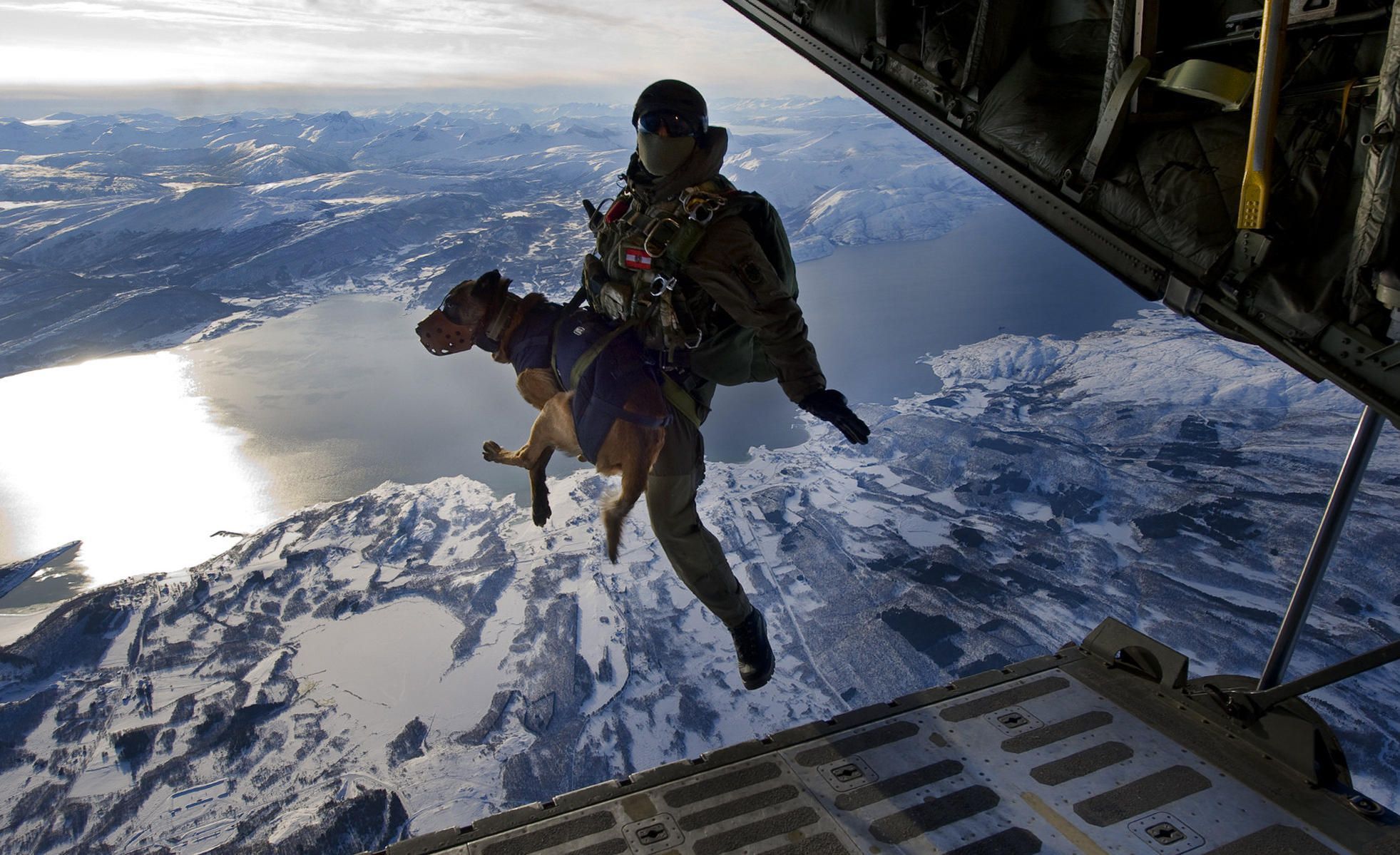 1963x1199 dog, Soldier, Military Wallpaper HD