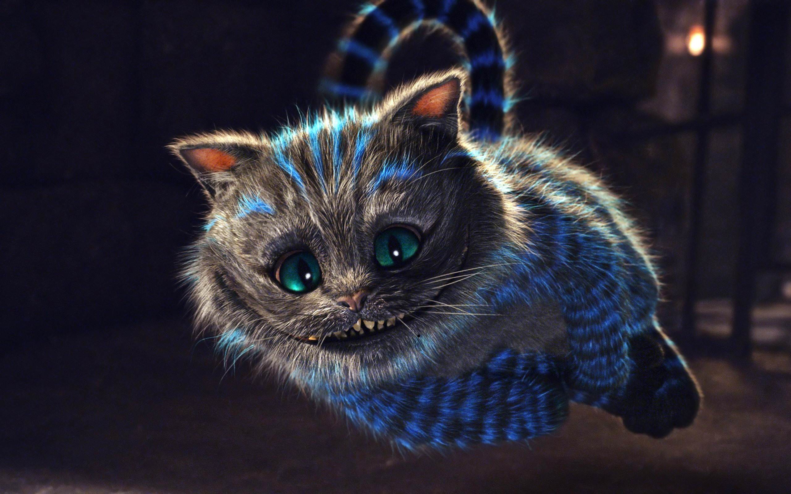 2560x1600 Funny Cartoon Cat Wallpaper For Android Wallpaper. High