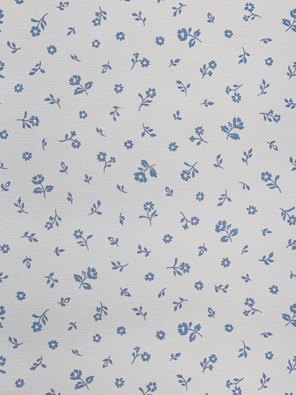 Blue Coquette Wallpapers Top Free Blue Coquette Backgrounds 14286069