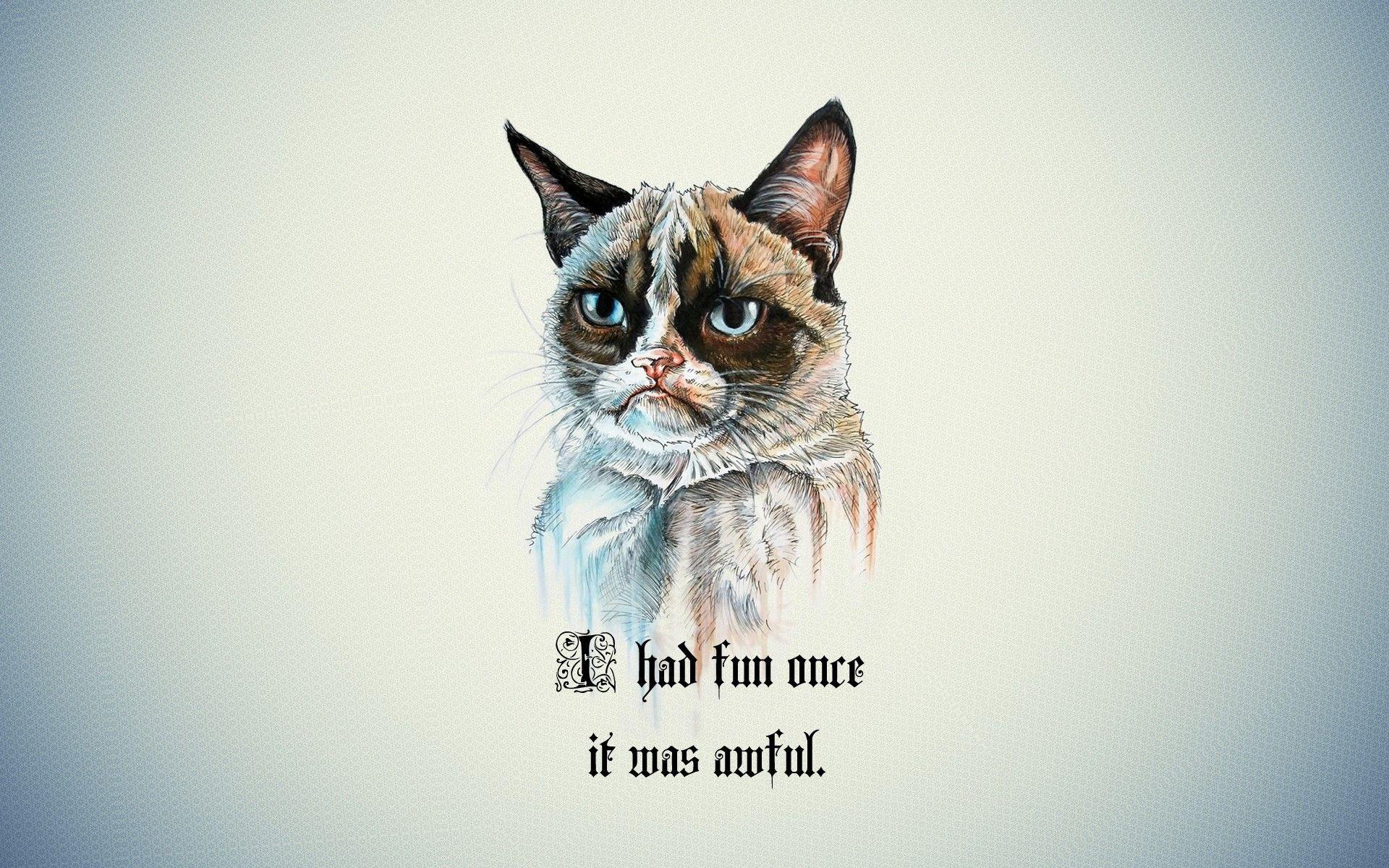 1920x1200 quote cartoon grumpy cat wallpaper and background