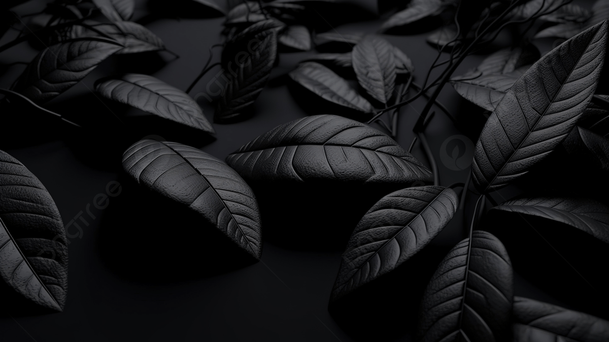 1200x673 3D Rendered Black Leaf Background, 3D