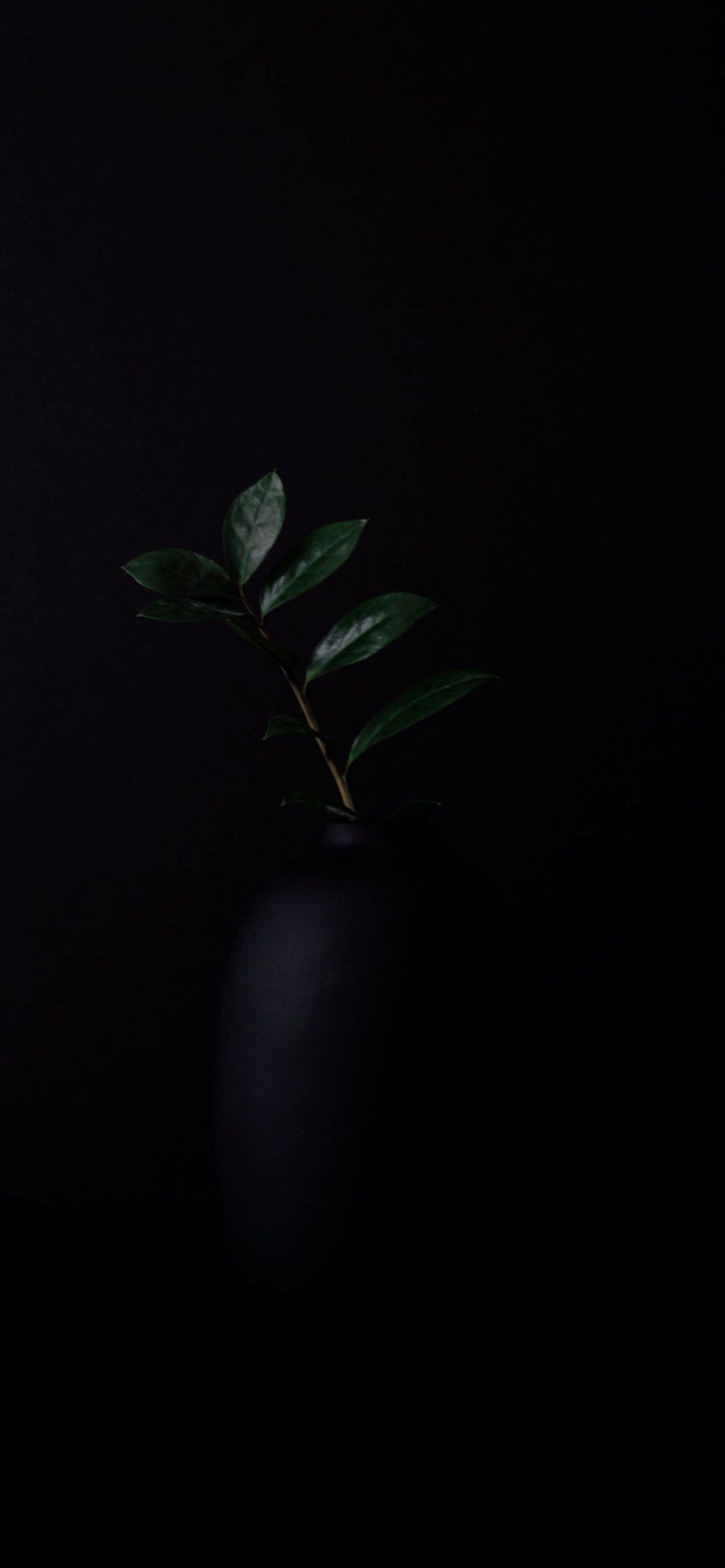 1183x2560 iPhone Wallpaper Black