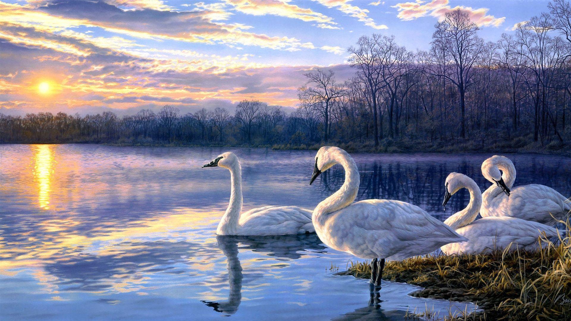 1920x1080 Wallpaper Art painting swan lake sunset landscape 2560x1440 QHD Picture, Image