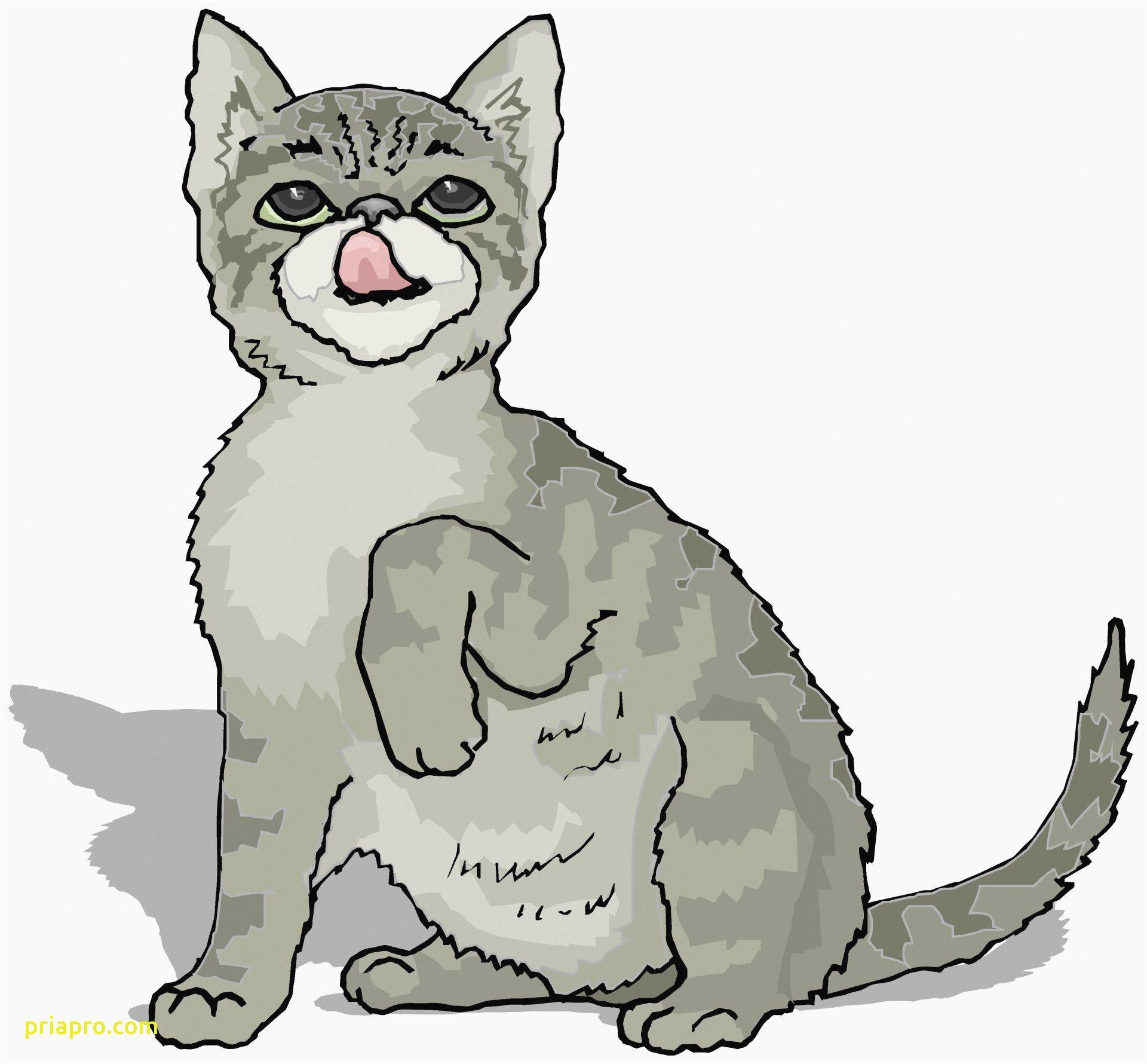 1920x1780 Cat Picture Cartoon Awesome Cats Wallpaper Grey Cat Cartoon Animal