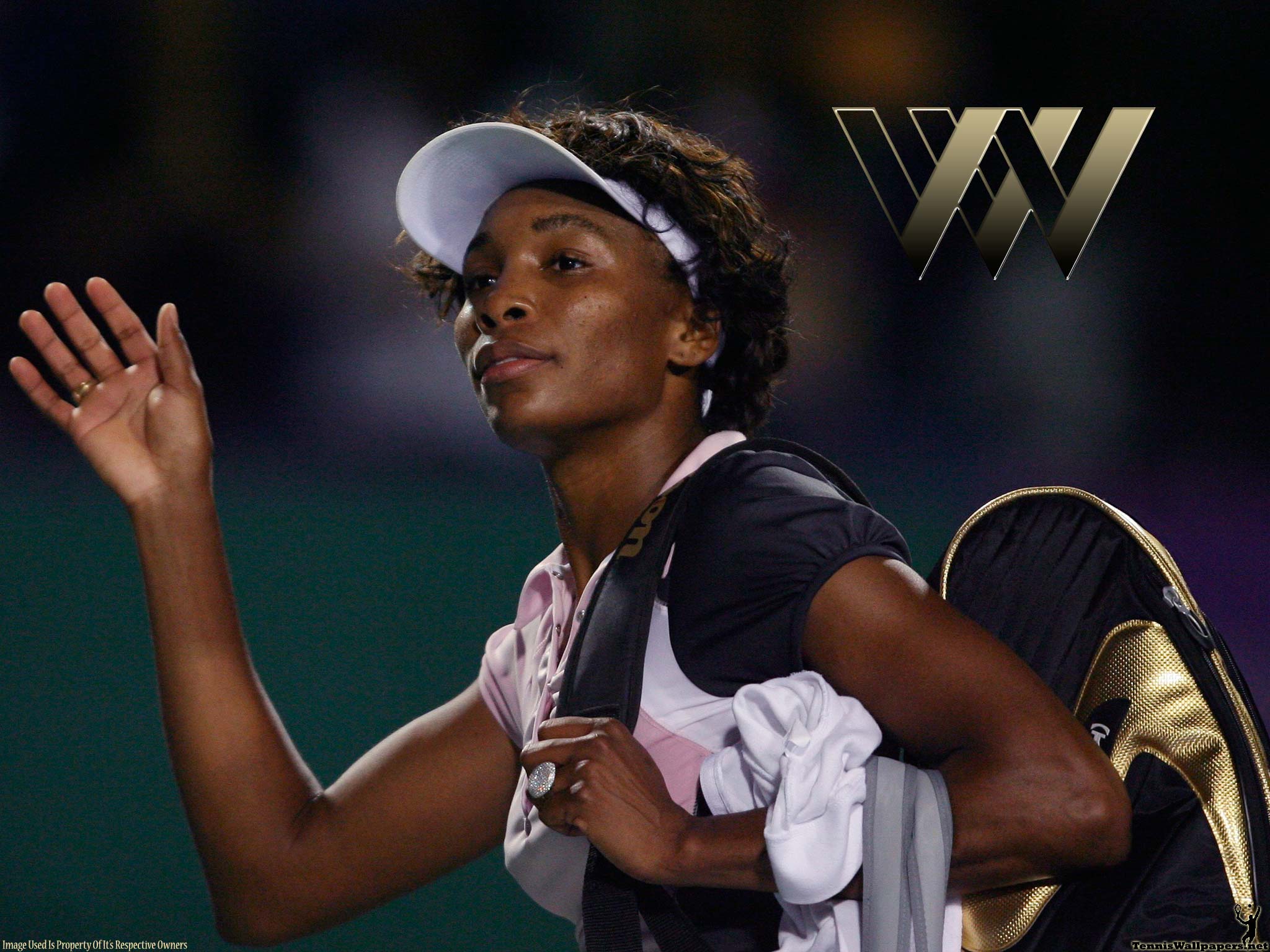 2048x1536 Venus Williams Wallpaper