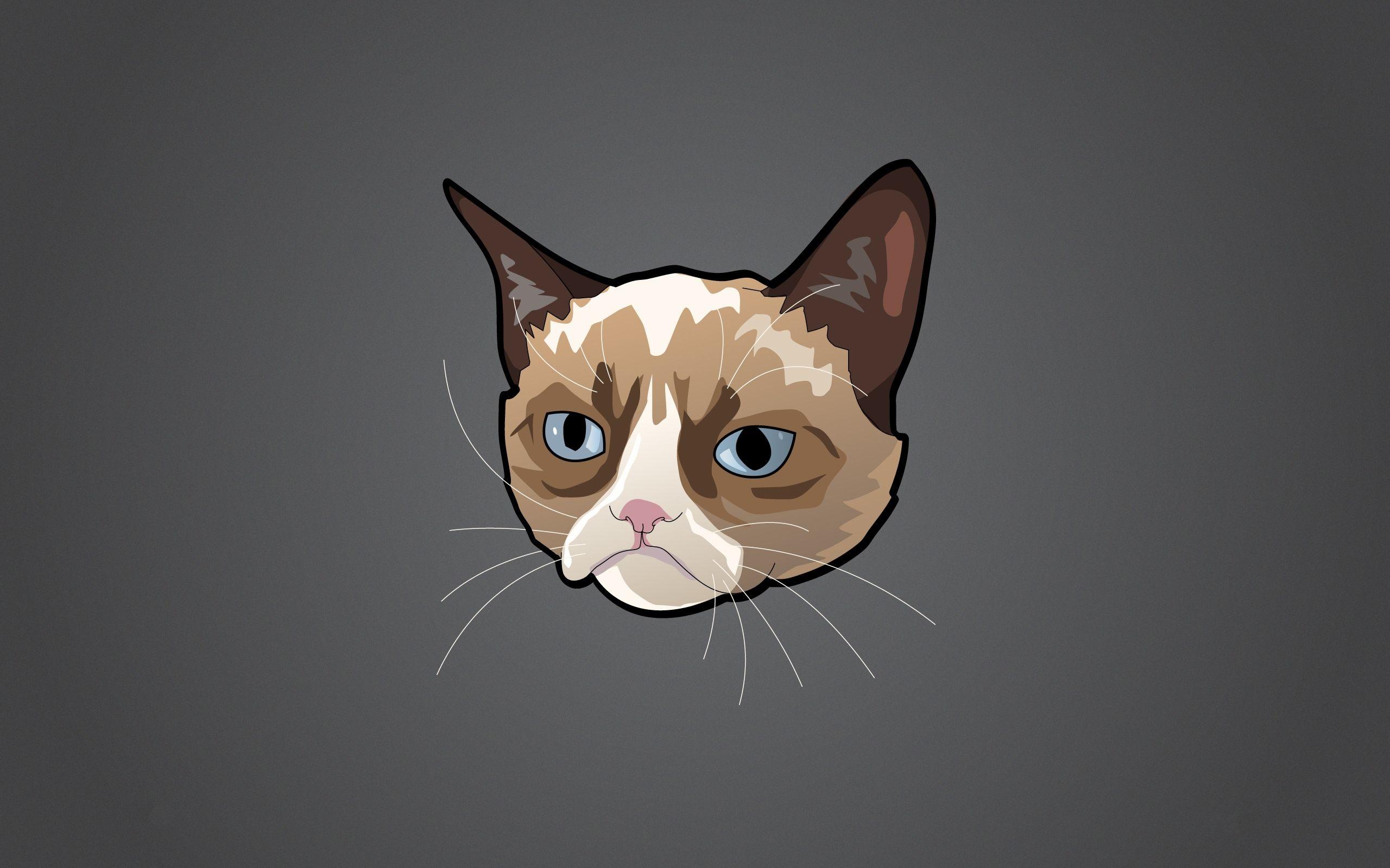 2560x1600 Cartoon Cat HD Background