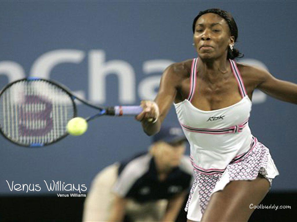 1024x768 Venus Williams Wallpaper, Venus Williams Picture, Venus