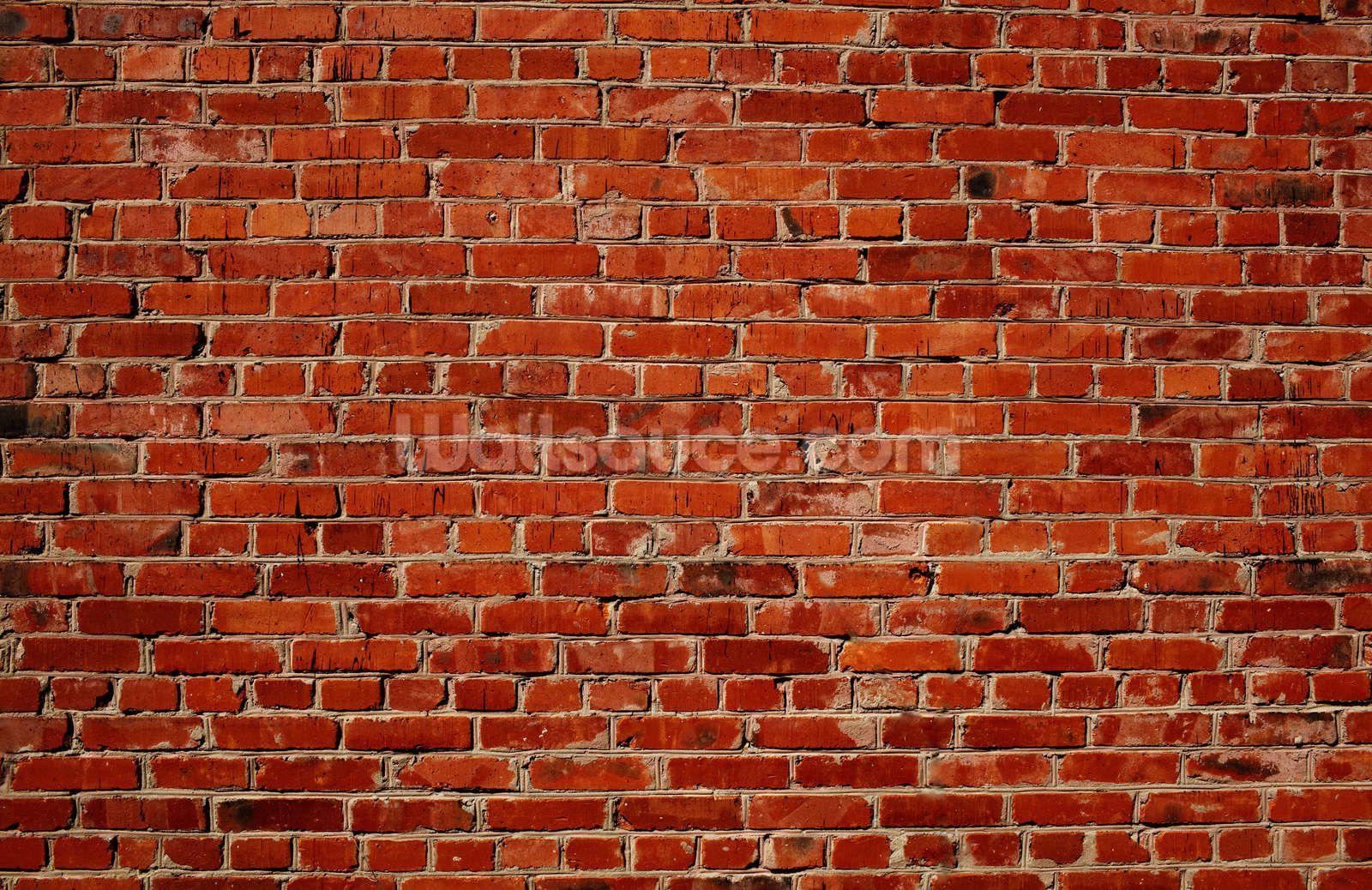 Stone Mural Brick Wallpaper Good Quality Digital Printing - Etsy