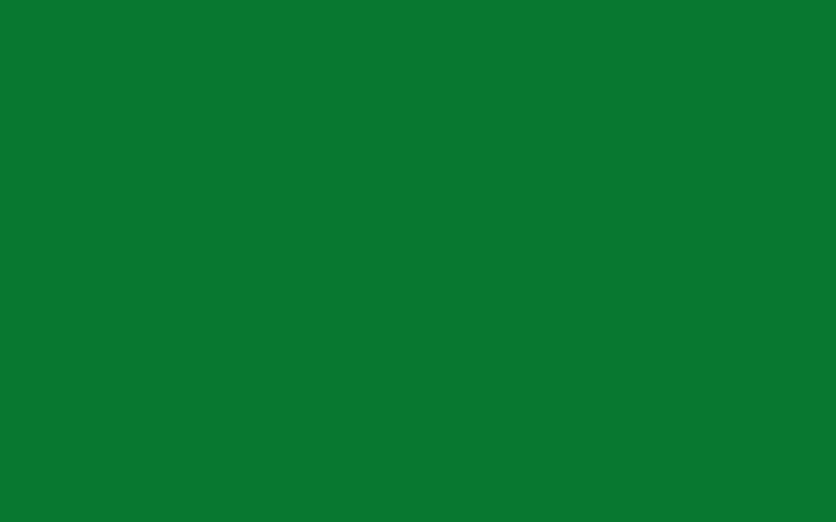 Hình nền màu xanh lá cây rắn 2880x1800
