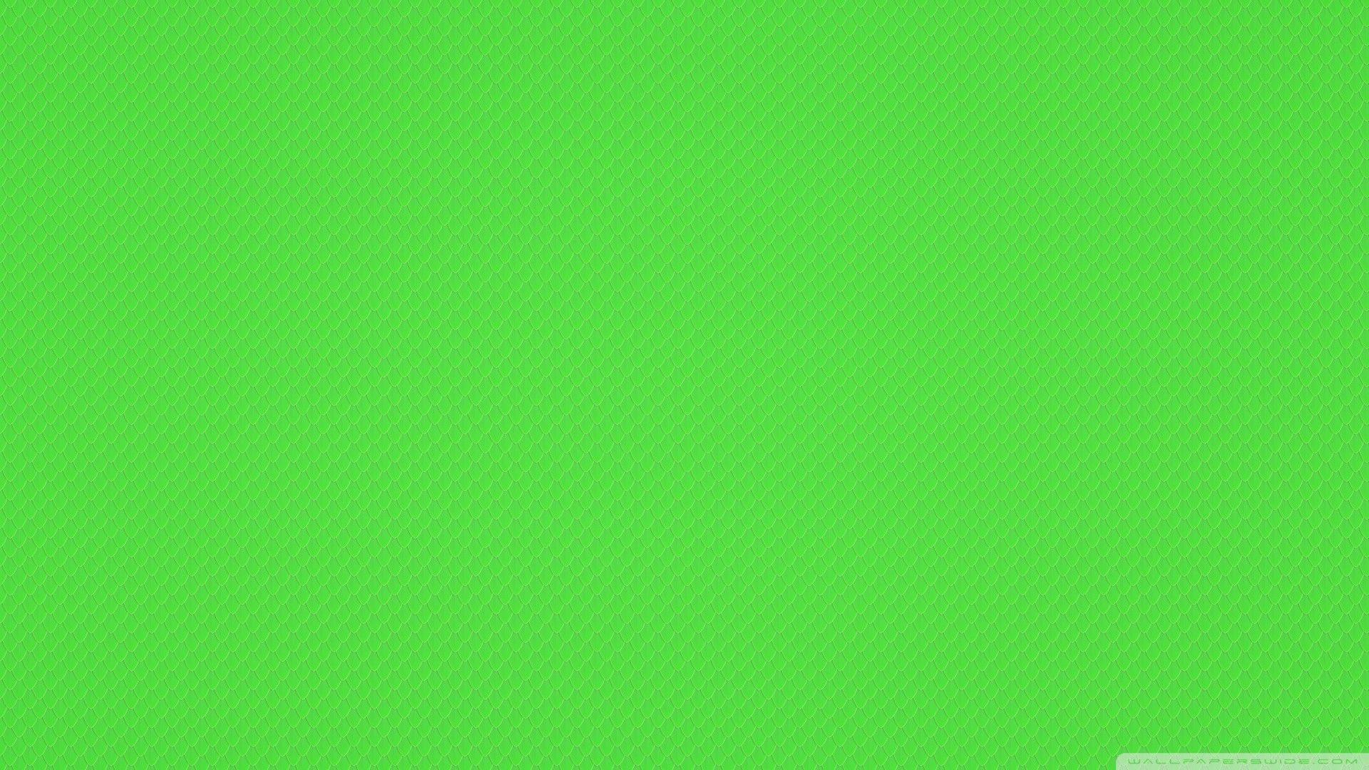 Plain Green Wallpapers - Top Free Plain ...