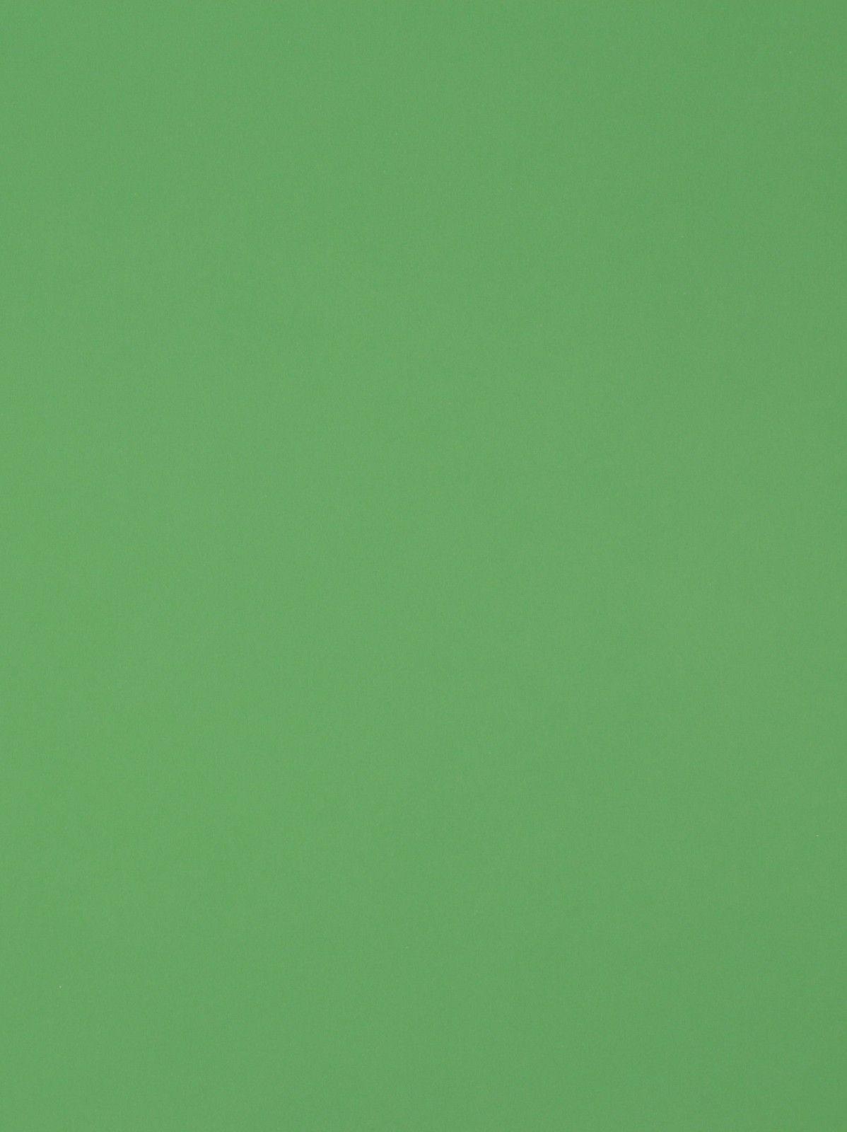 46 Solid Green Wallpaper  WallpaperSafari