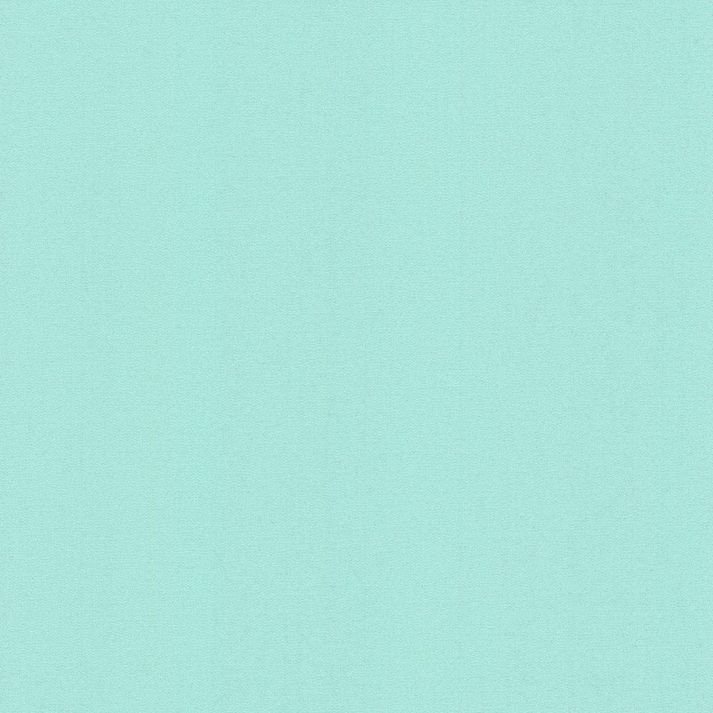 solid mint green background