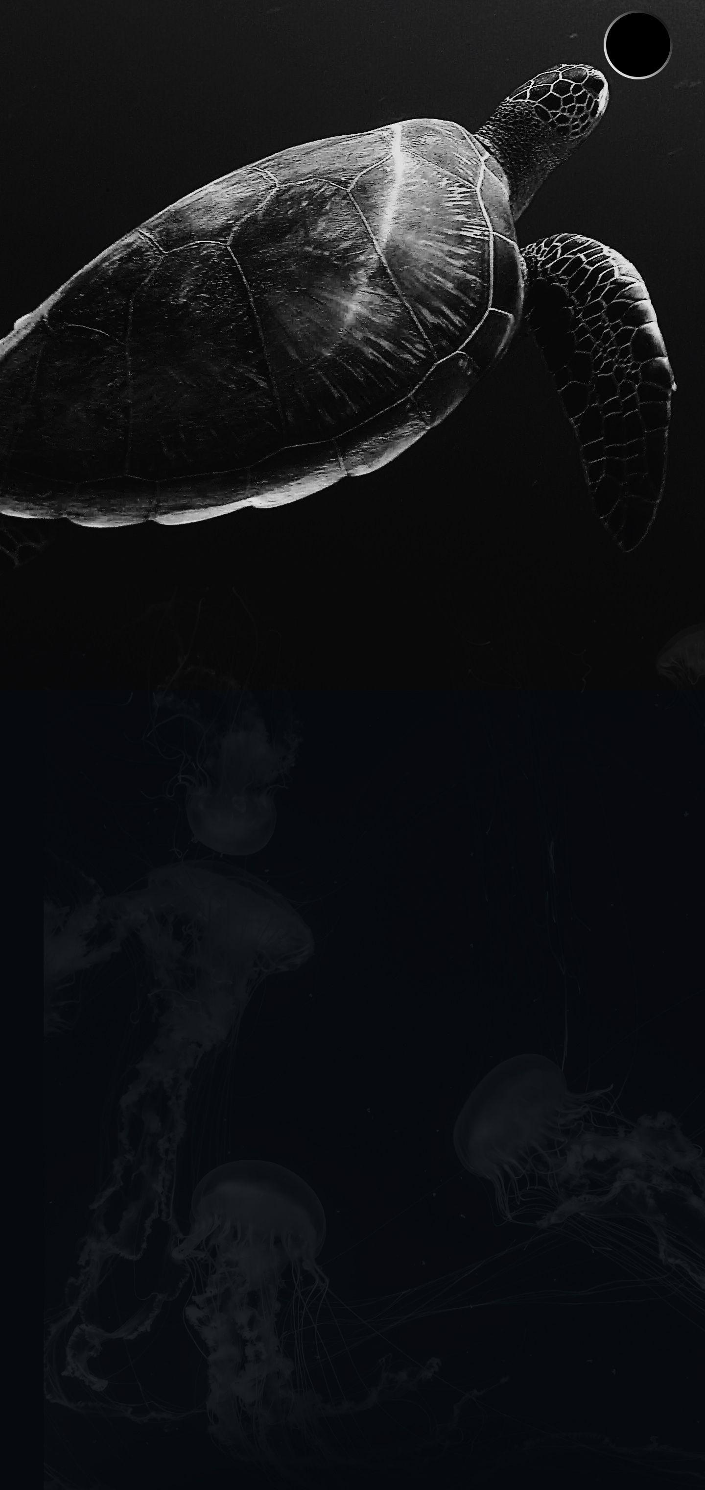 1440x3040 Samsung S10 Wallpaper. Tech & ALL