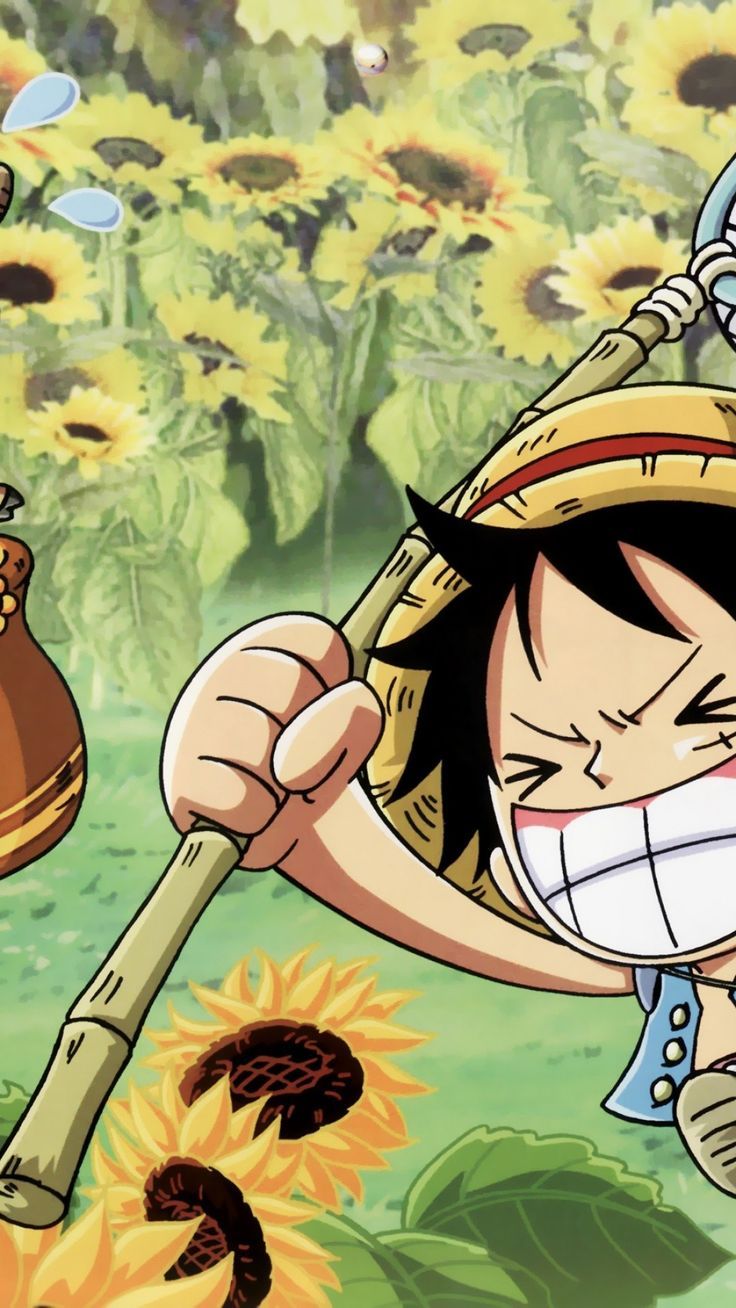 736x1308 One Piece Phone Wallpaper