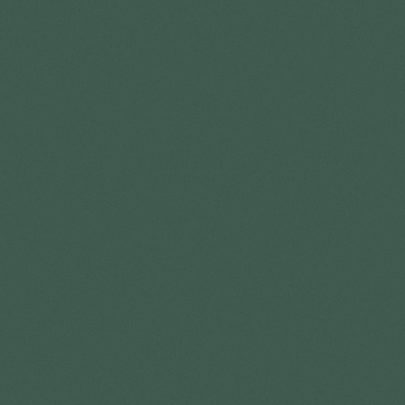 Plain Green Wallpapers - Top Free Plain Green Backgrounds - WallpaperAccess