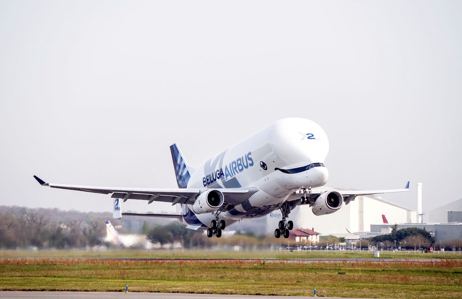 1600x1037 Airbus Beluga Wallpaper