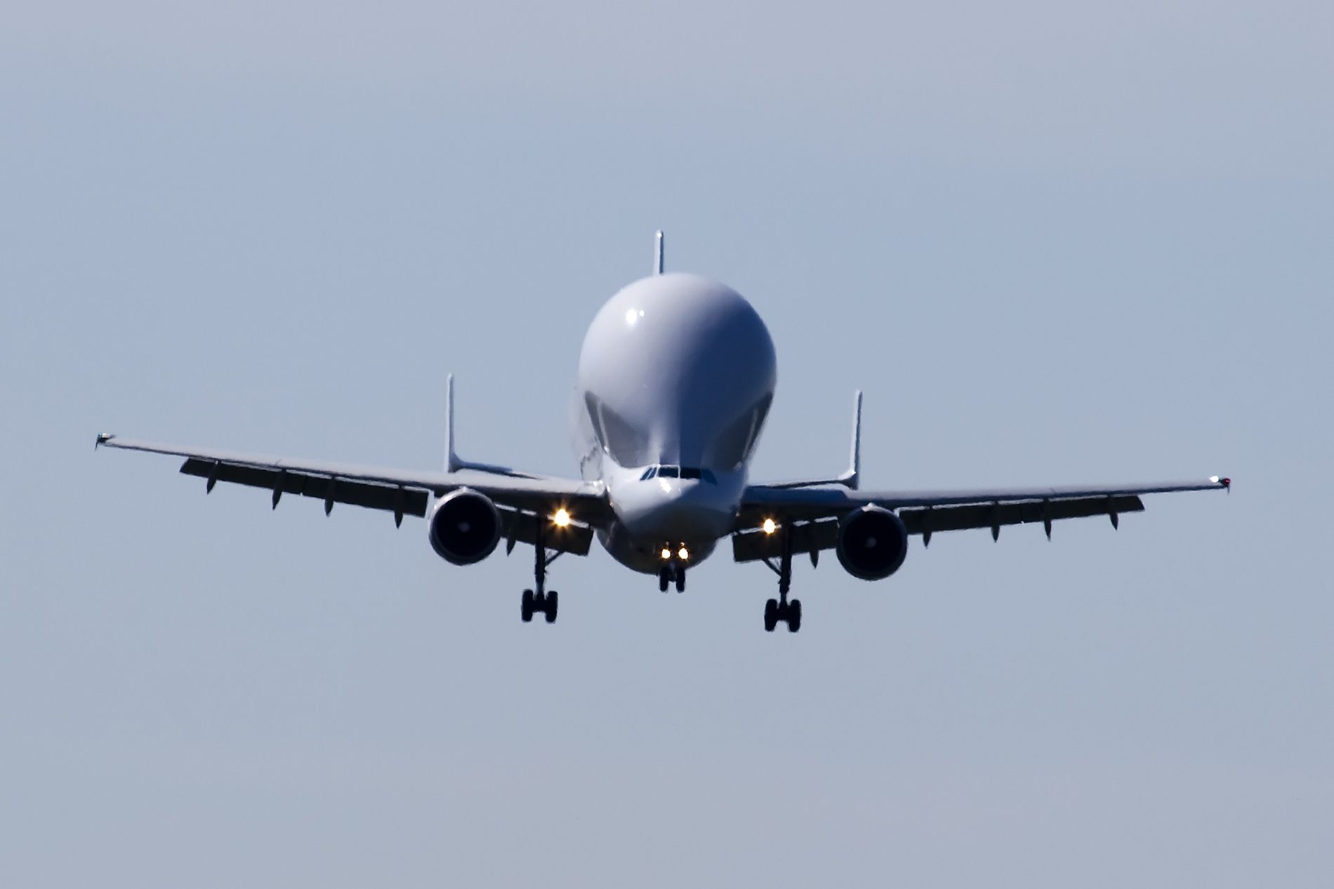 1900x1267 Download Vehicle Airbus Beluga Wallpaper