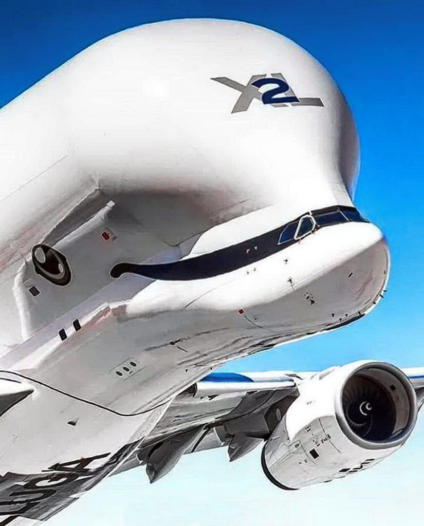 825x1024 Airbus Beluga Wallpaper