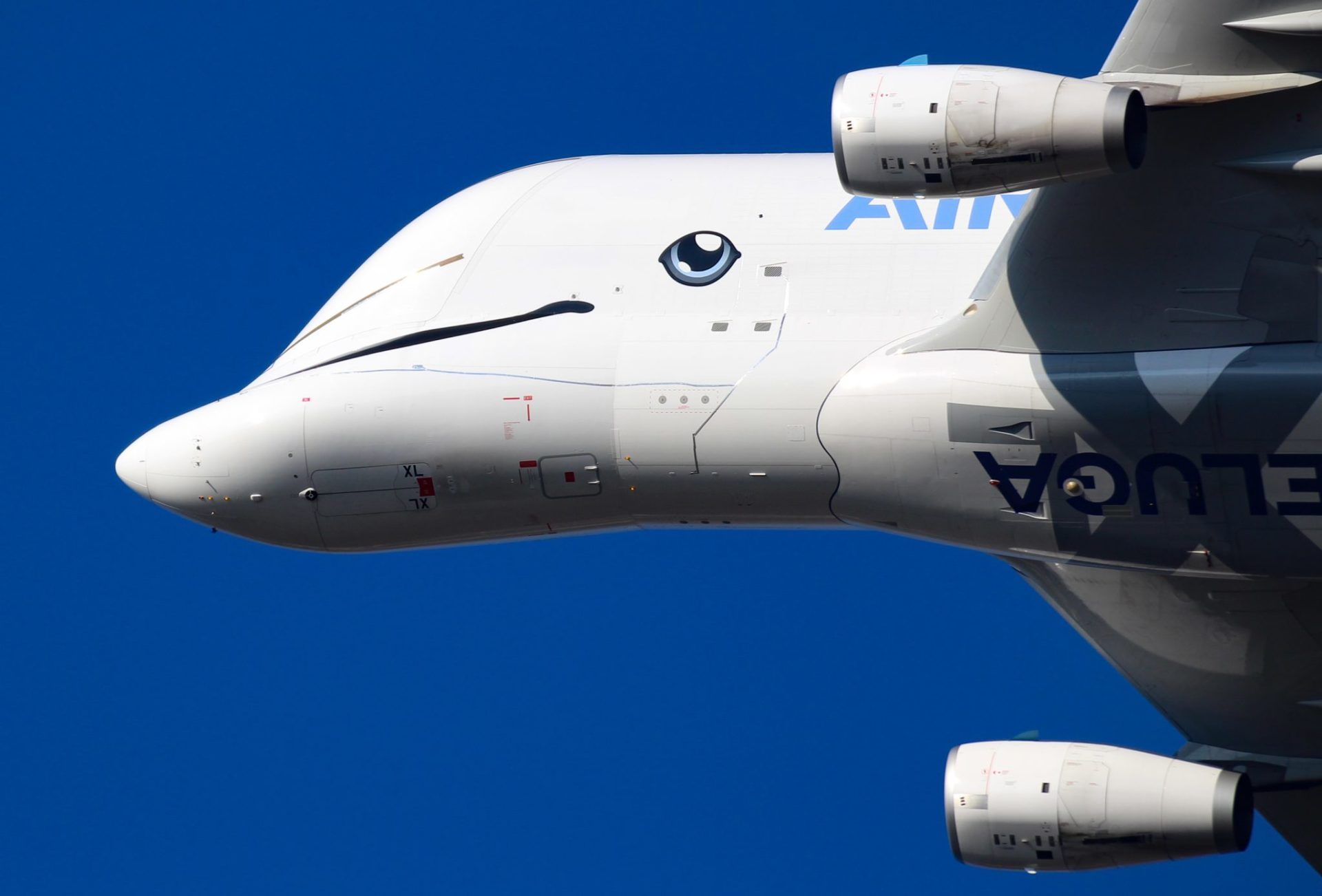 Airbus Beluga Wallpapers - Top Free Airbus Beluga Backgrounds ...