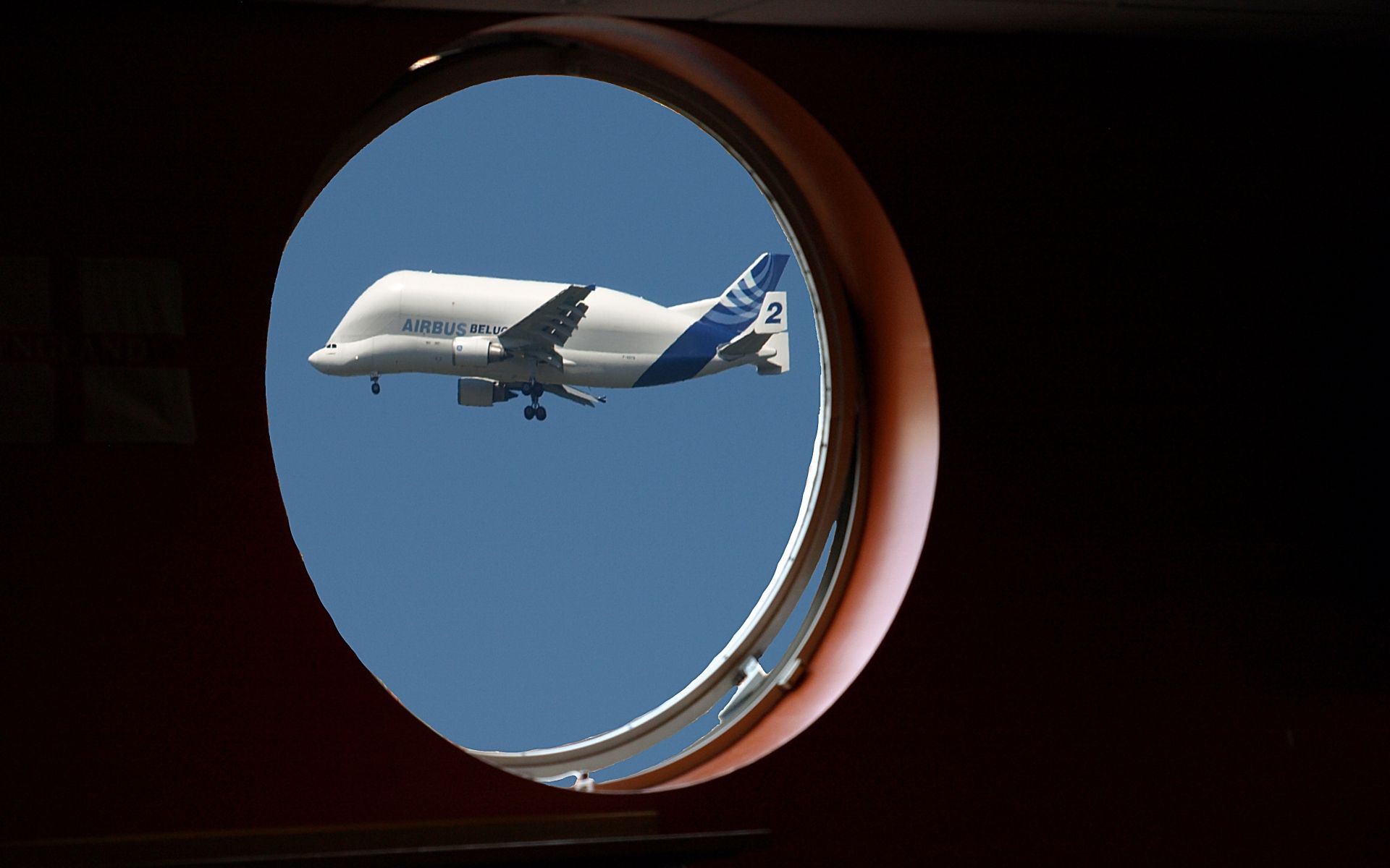 1920x1200 Download Vehicle Airbus Beluga HD Wallpaper